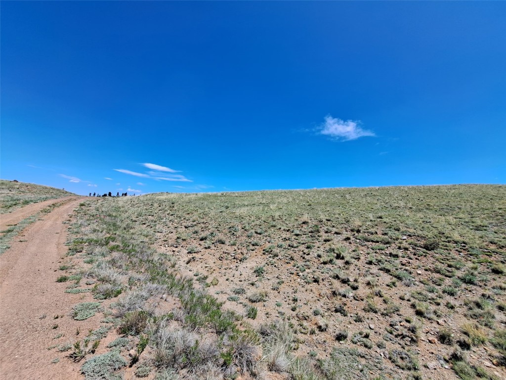 6630 Atoka Road Property Photo 12