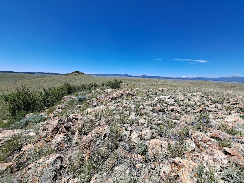 6630 Atoka Road Property Photo 14