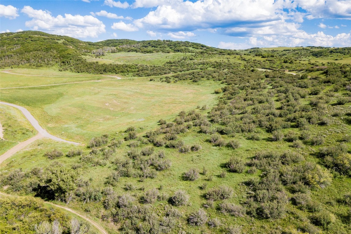 26705 Wild Iris Path Property Photo 6