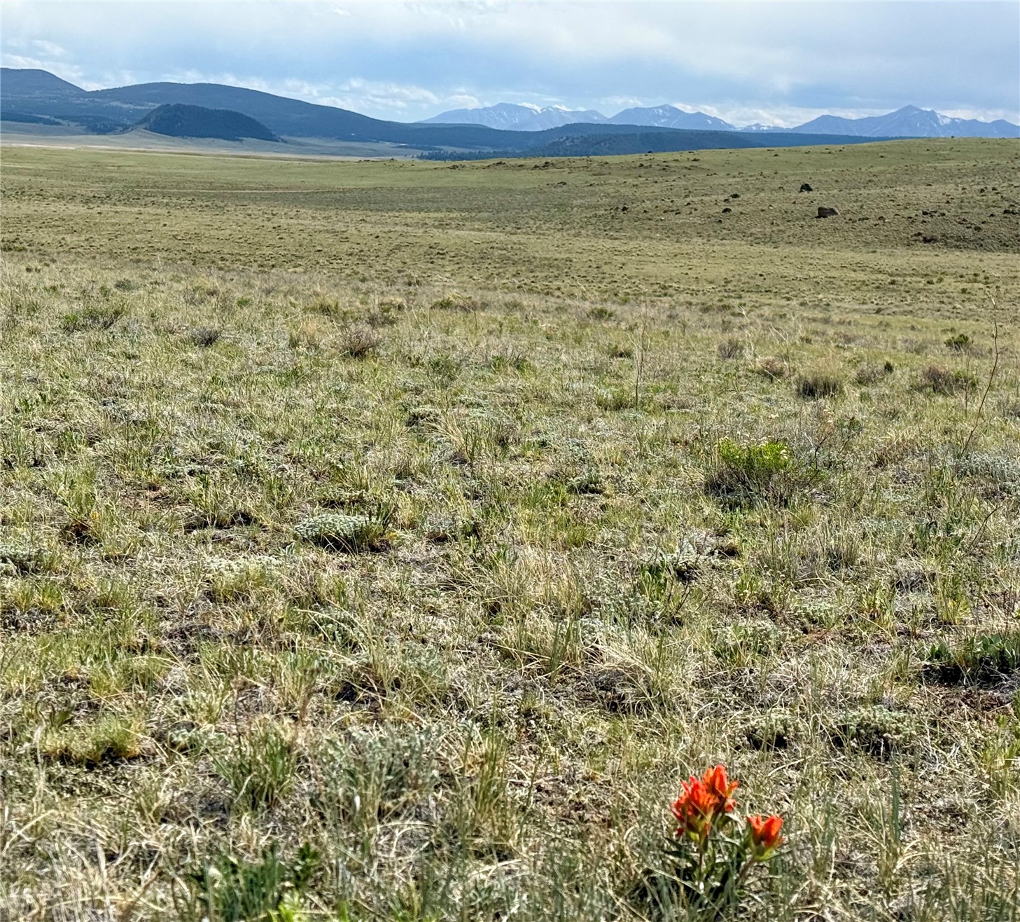 Tbd Antero Drive Property Photo 19