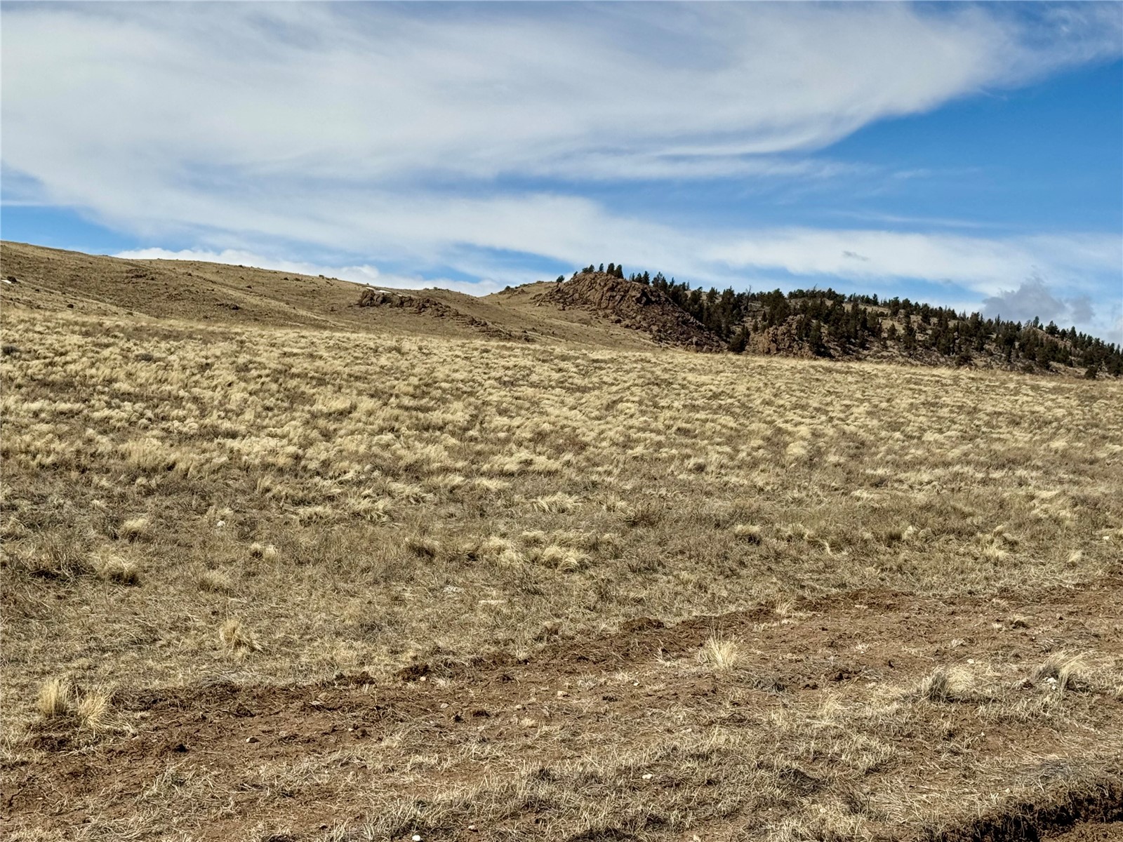 Tbd Antero Drive Property Photo 28