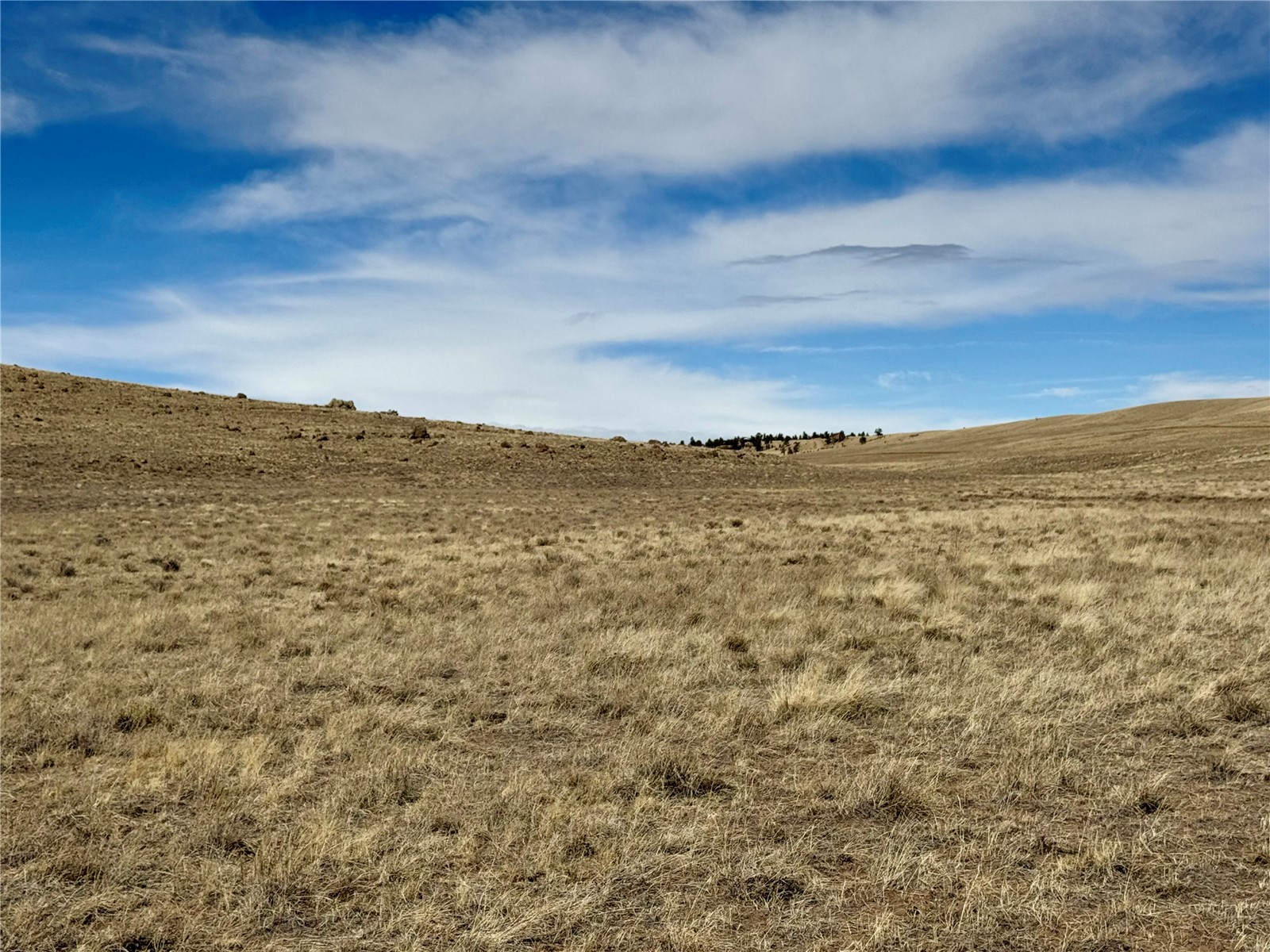 Tbd Antero Drive Property Photo 37