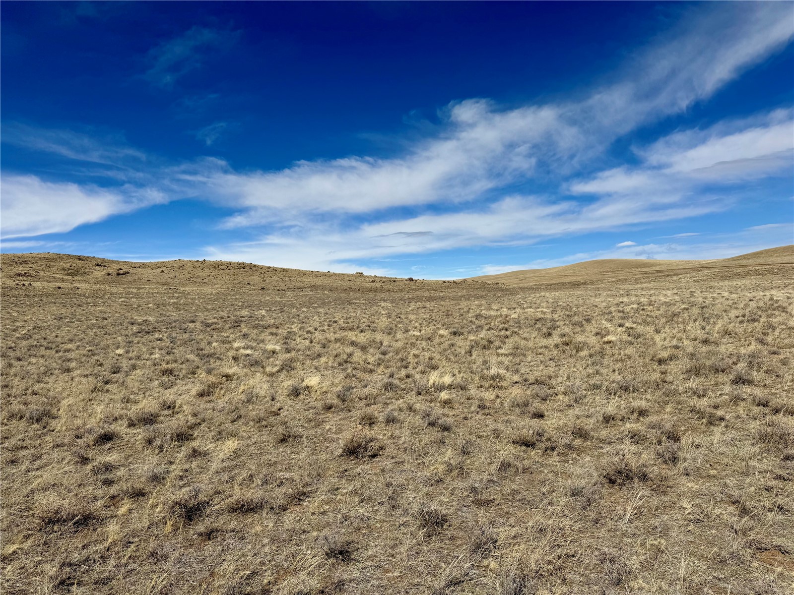 Tbd Antero Drive Property Photo 41
