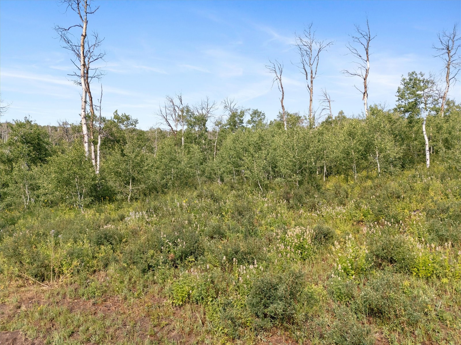 55966 Hannahs Way Property Photo 14