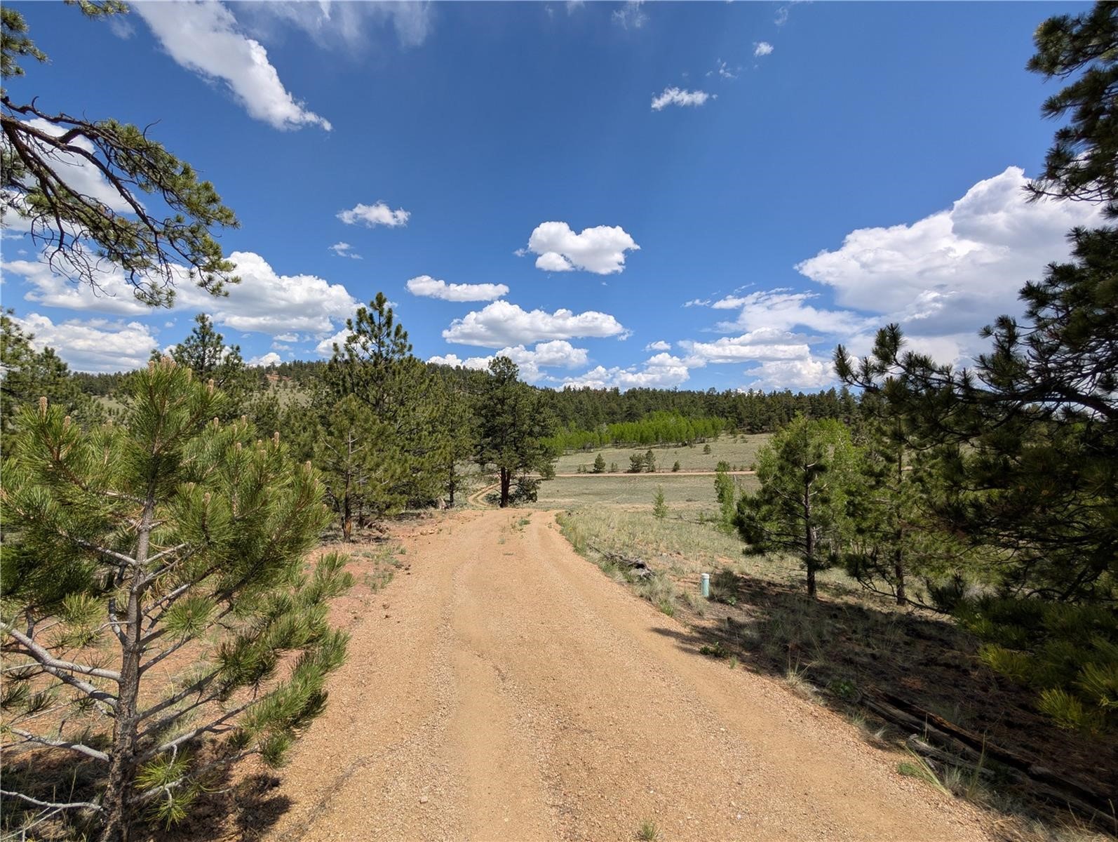 2117 Badger Creek Road Property Photo 10