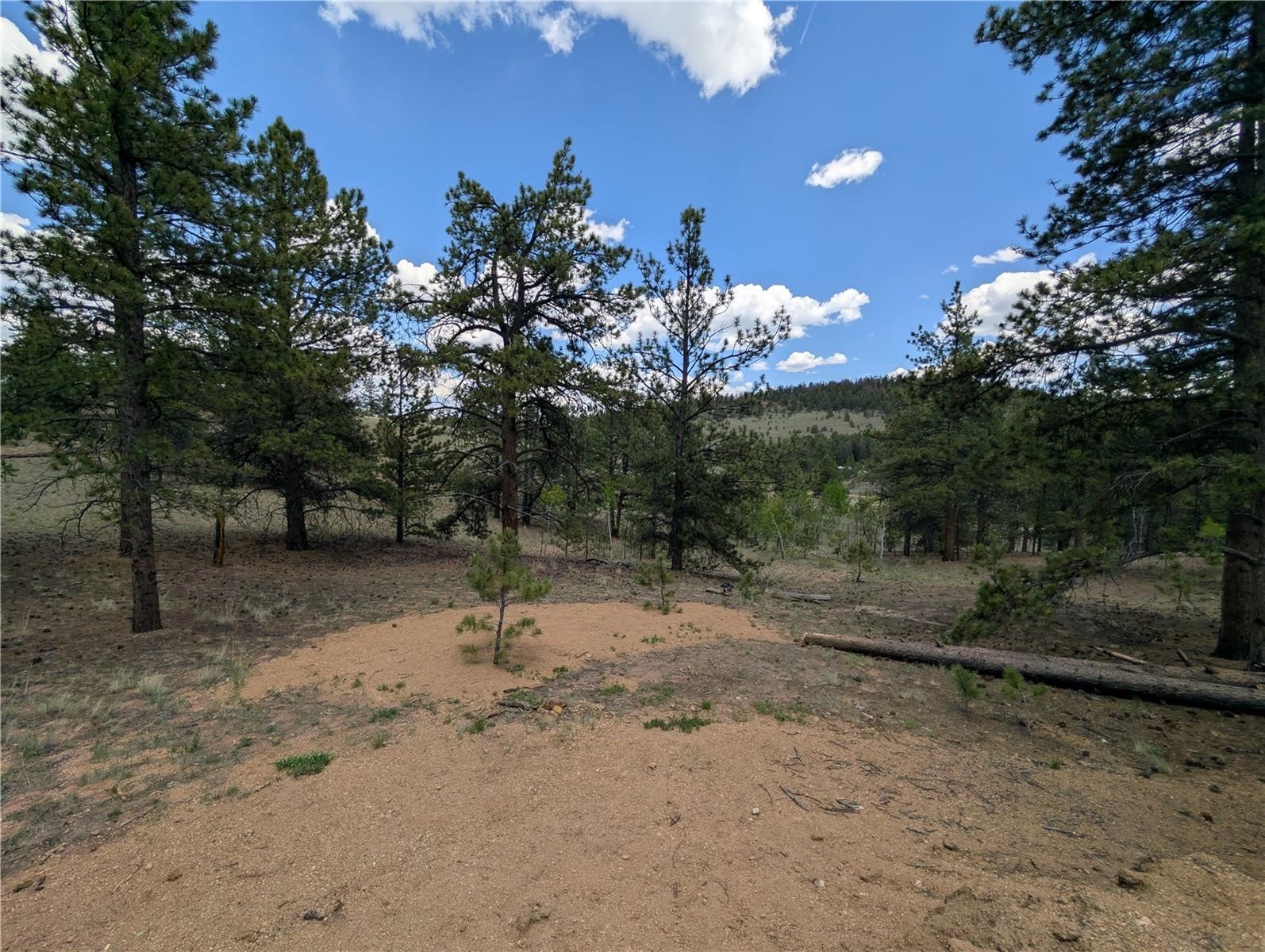 2117 Badger Creek Road Property Photo 27