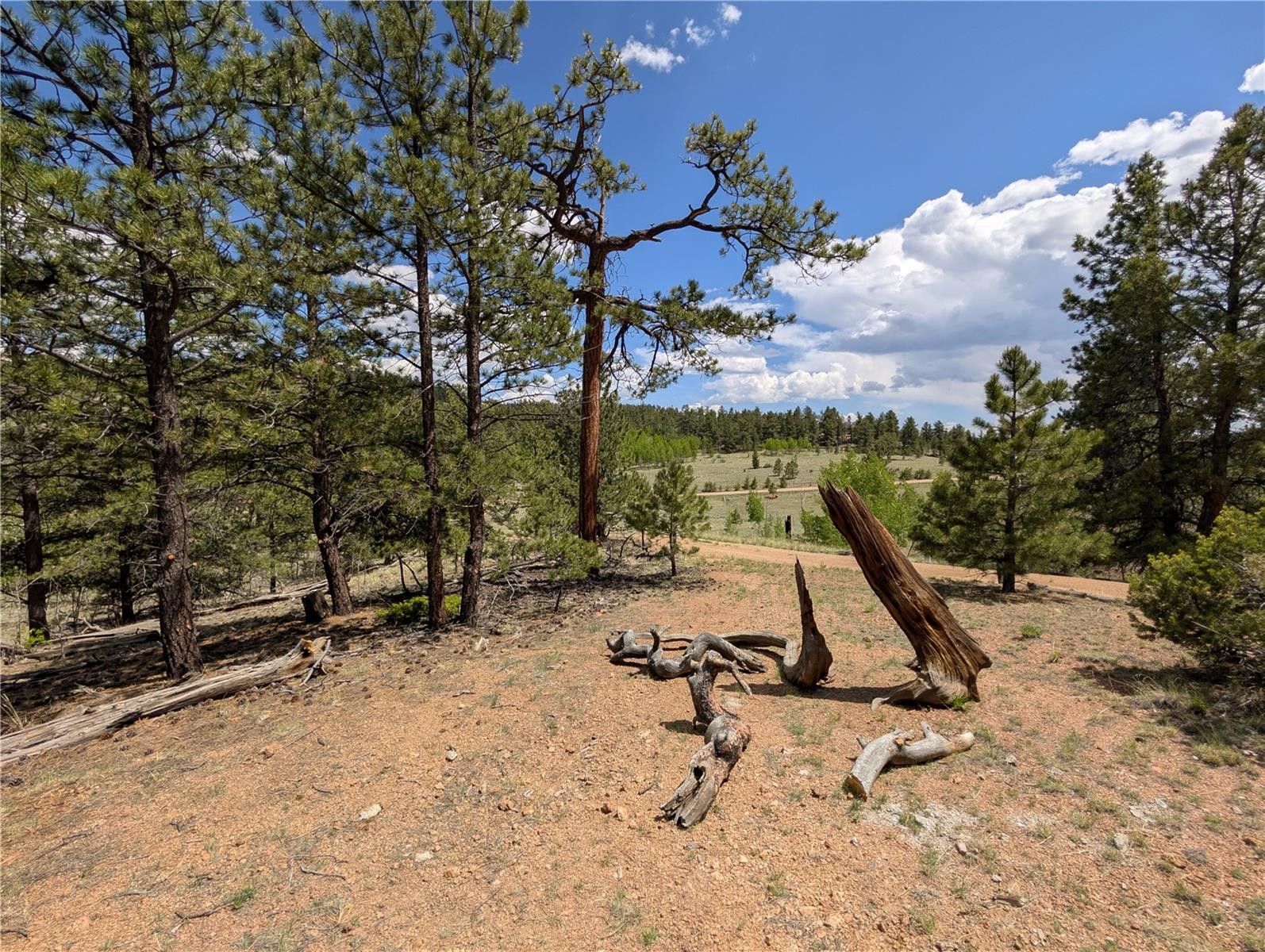 2117 Badger Creek Road Property Photo 29