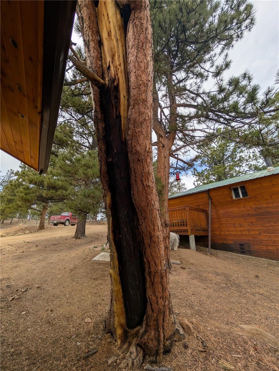 2117 Badger Creek Road Property Photo 42