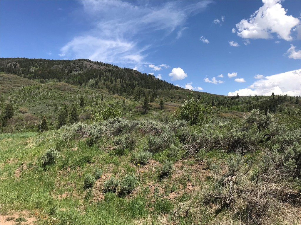 22970 Snowbird Way Property Photo 5