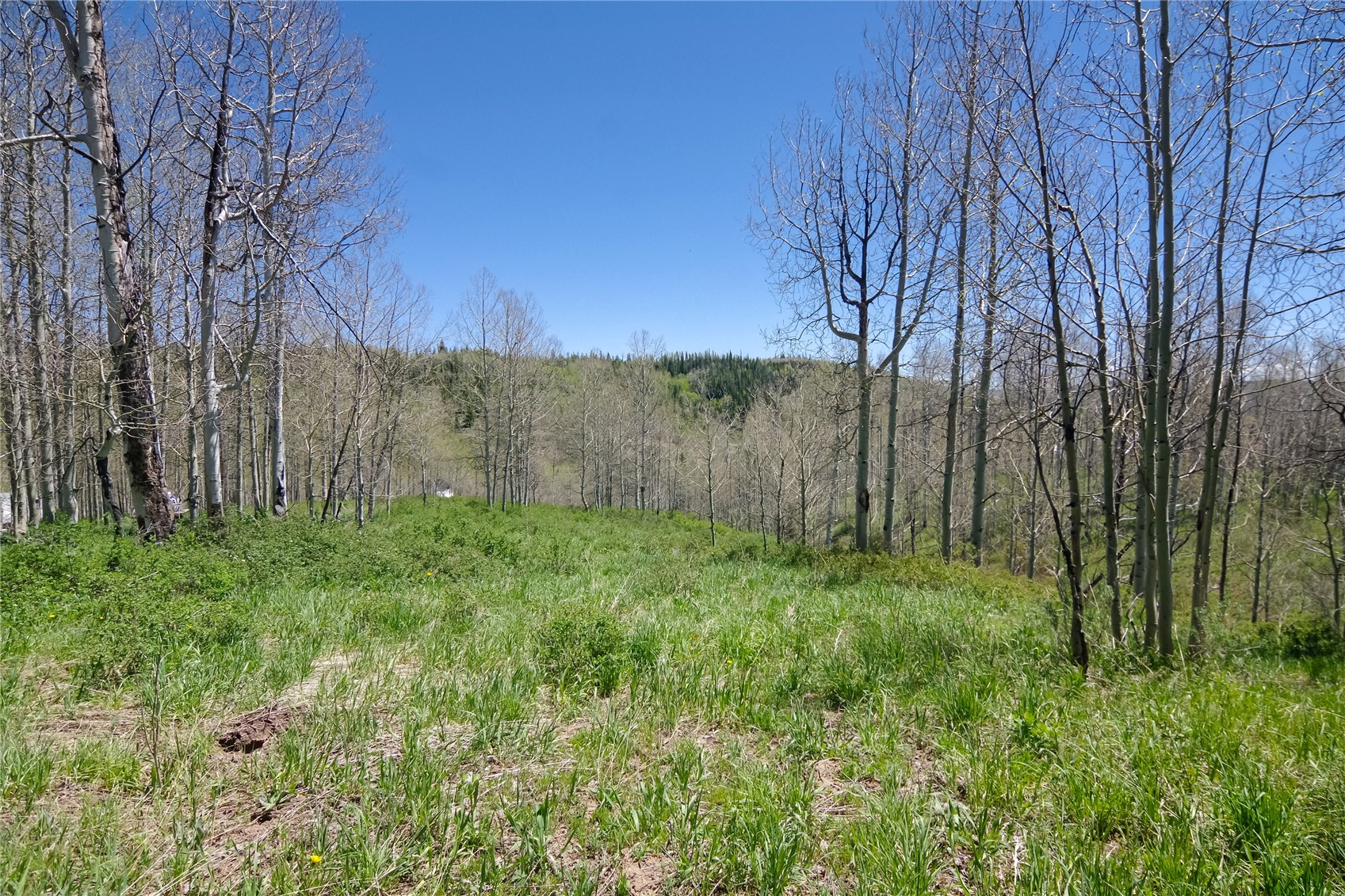 26925 Beaver Canyon Drive Property Photo 6