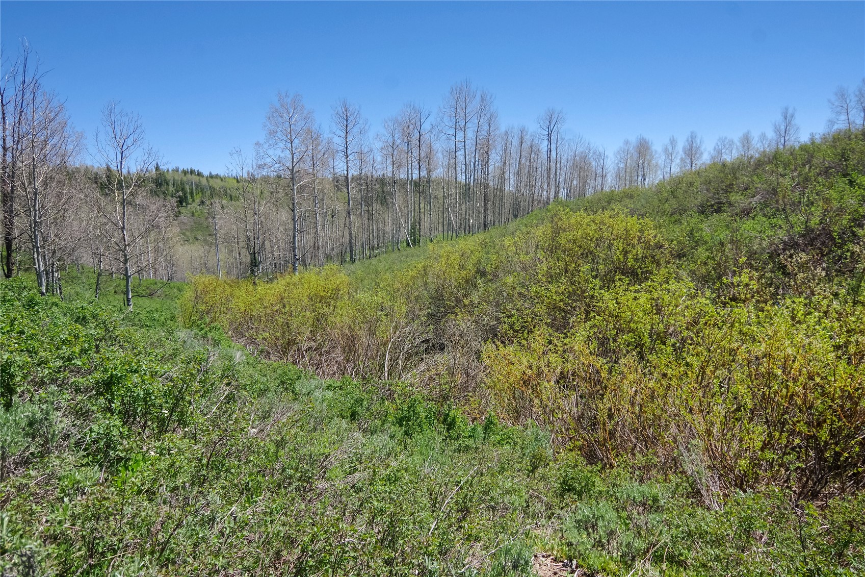 26925 Beaver Canyon Drive Property Photo 8