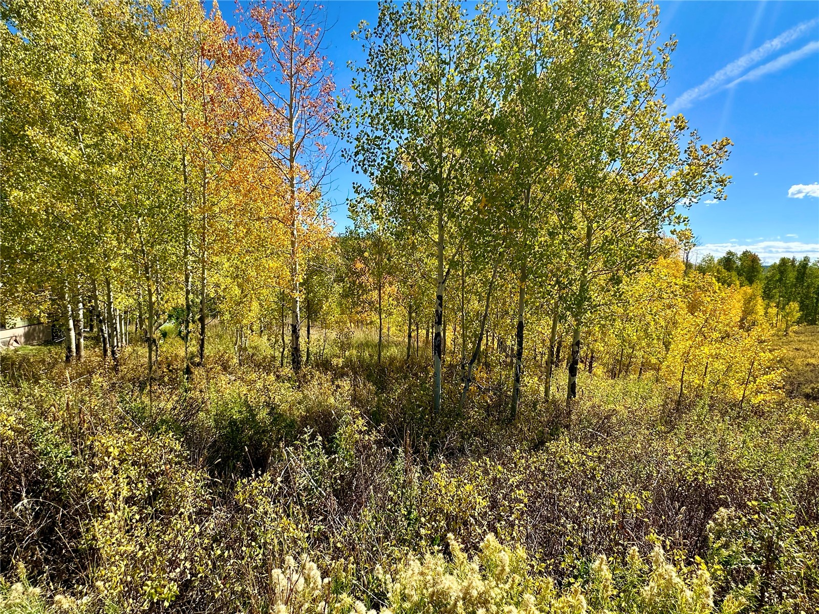 26925 Beaver Canyon Drive Property Photo 11