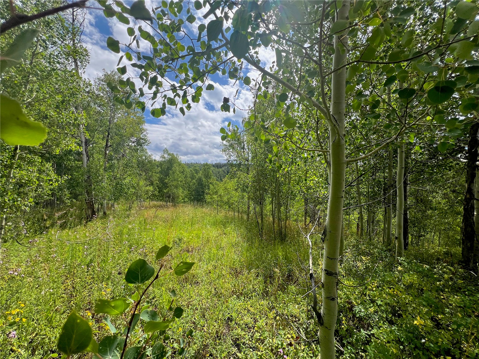 26925 Beaver Canyon Drive Property Photo 13