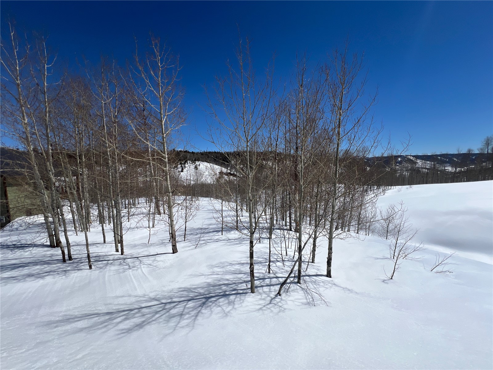 26925 Beaver Canyon Drive Property Photo 15
