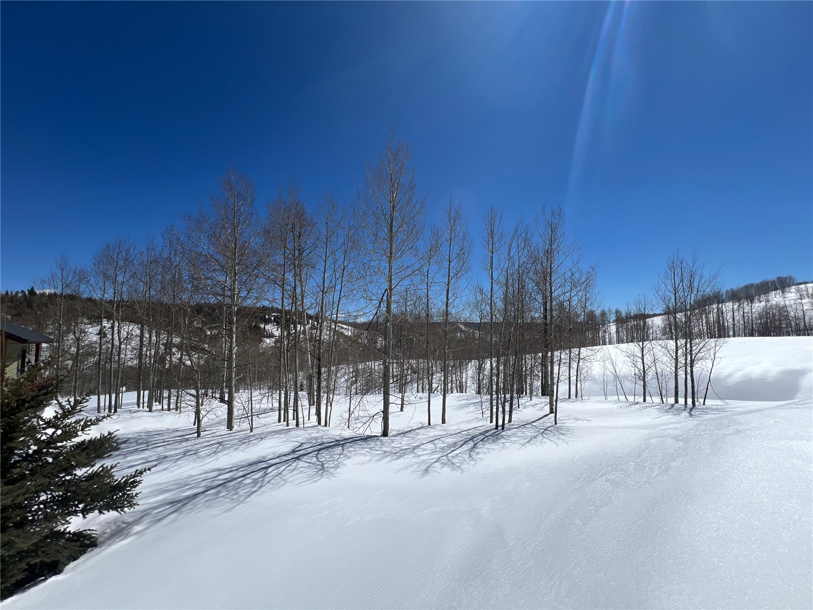 26925 Beaver Canyon Drive Property Photo 16