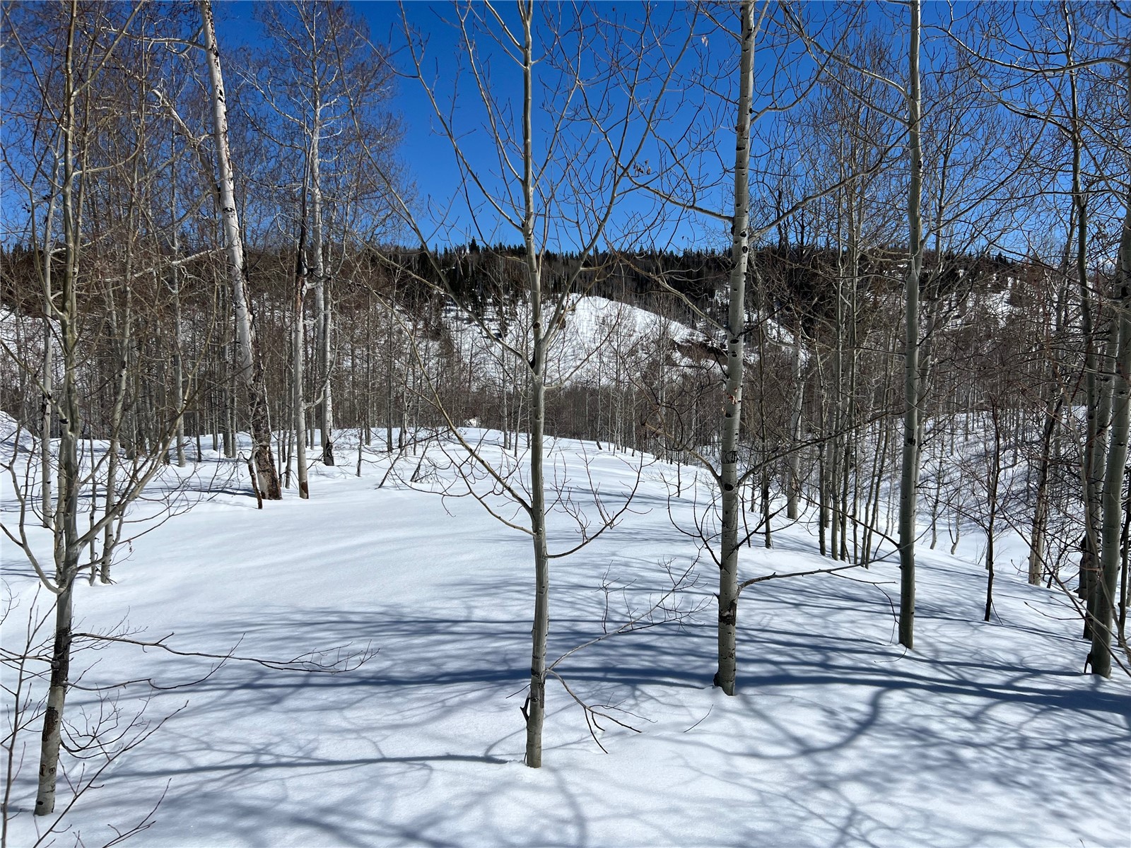 26925 Beaver Canyon Drive Property Photo 17