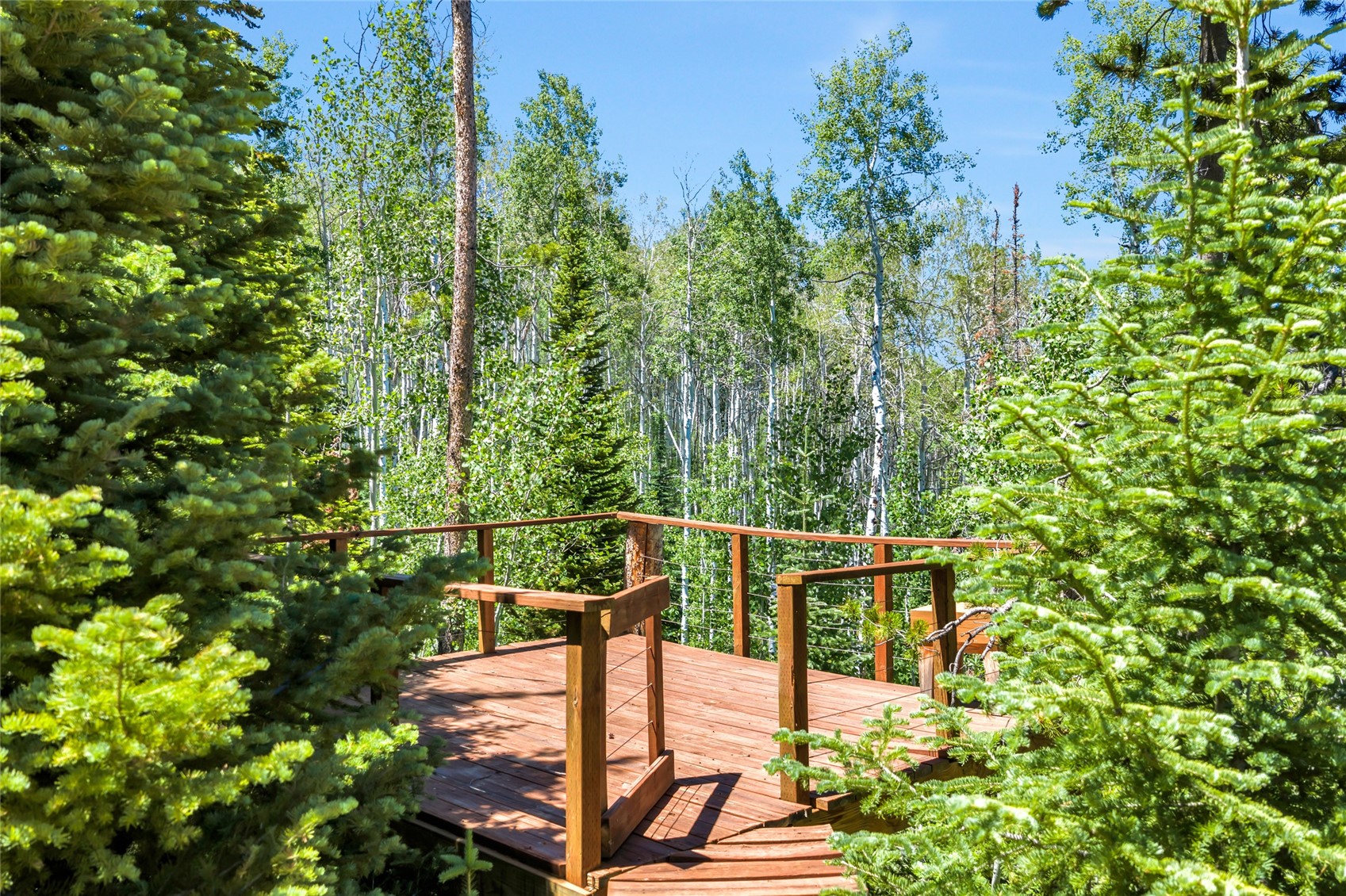 24700 Lone Tooth Trail Property Photo 28