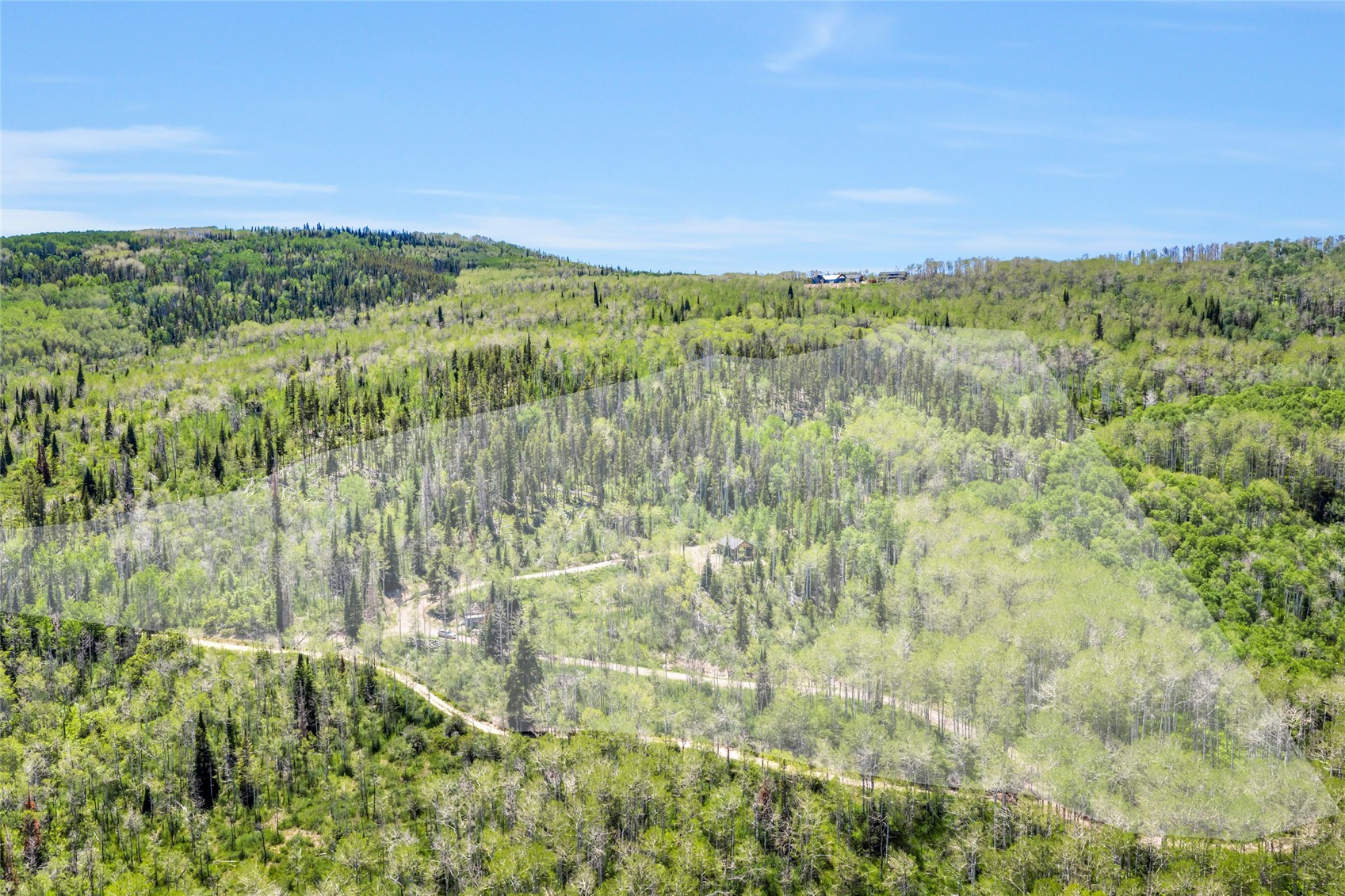24700 Lone Tooth Trail Property Photo 31
