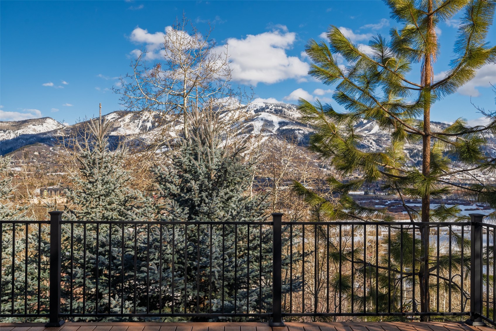 36836 Tree Haus DRIVE