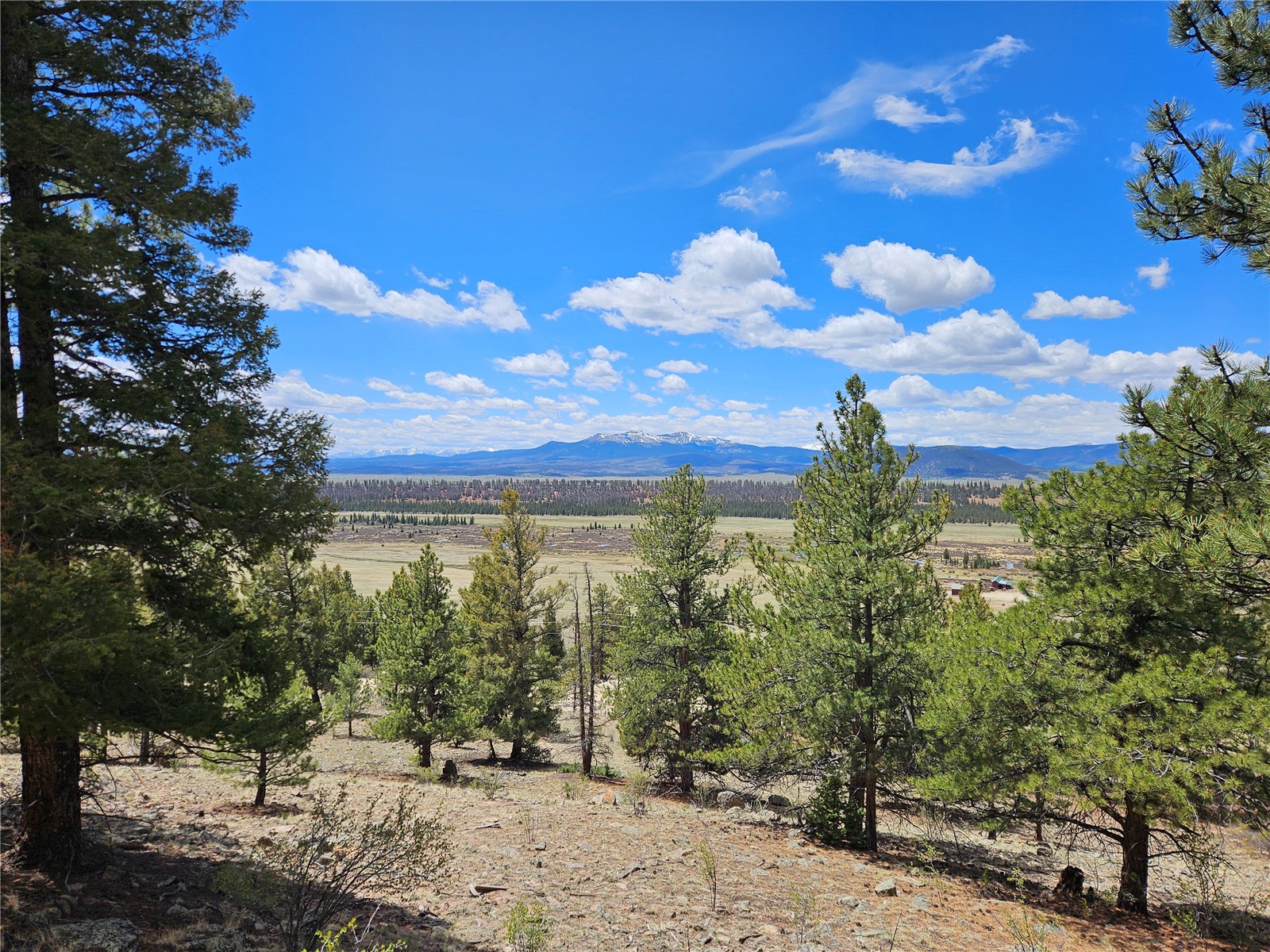 Lot 395 Bonell Drive Property Photo 1
