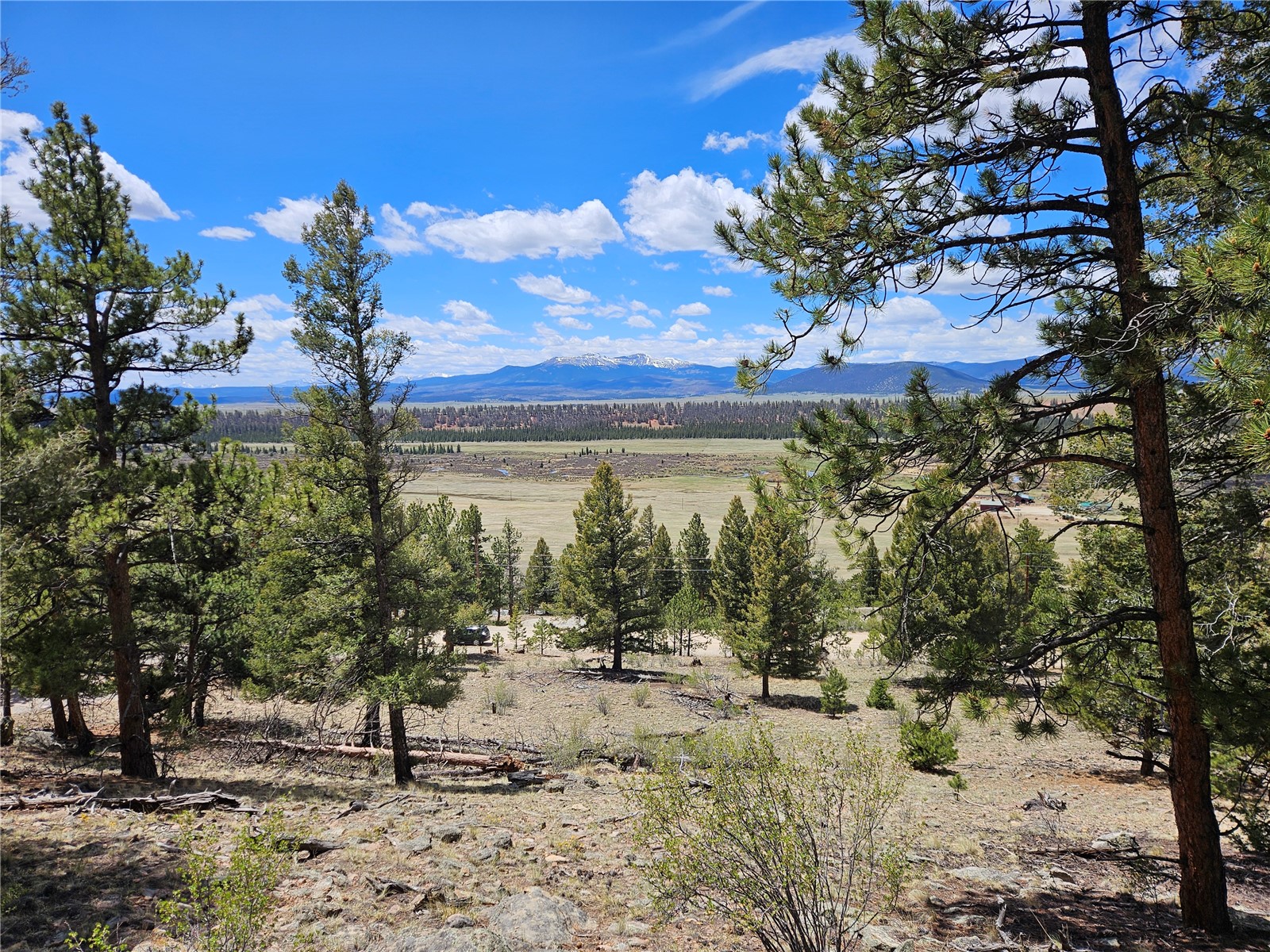 Lot 395 Bonell Drive Property Photo 2