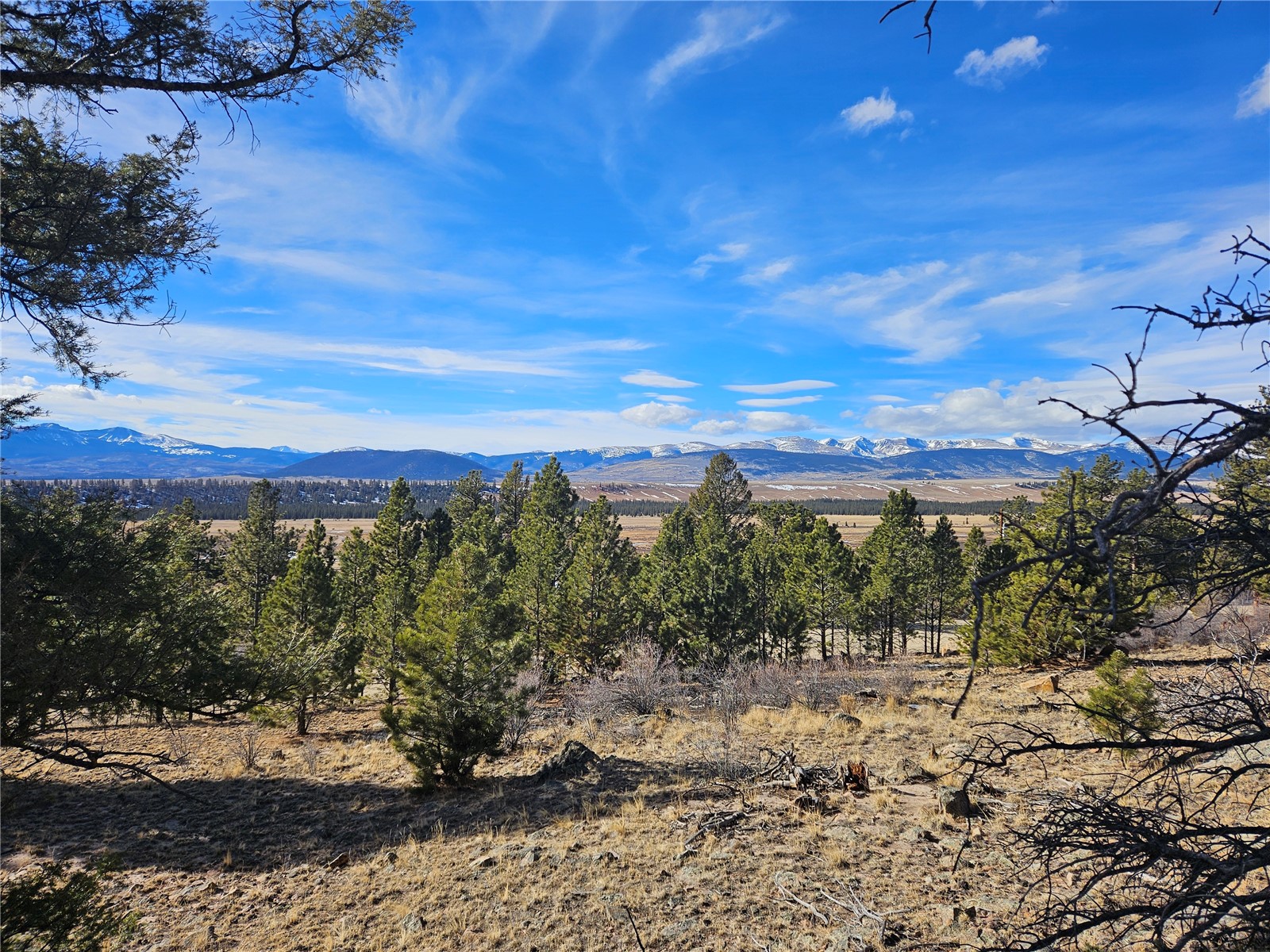 Lot 395 Bonell Drive Property Photo 4