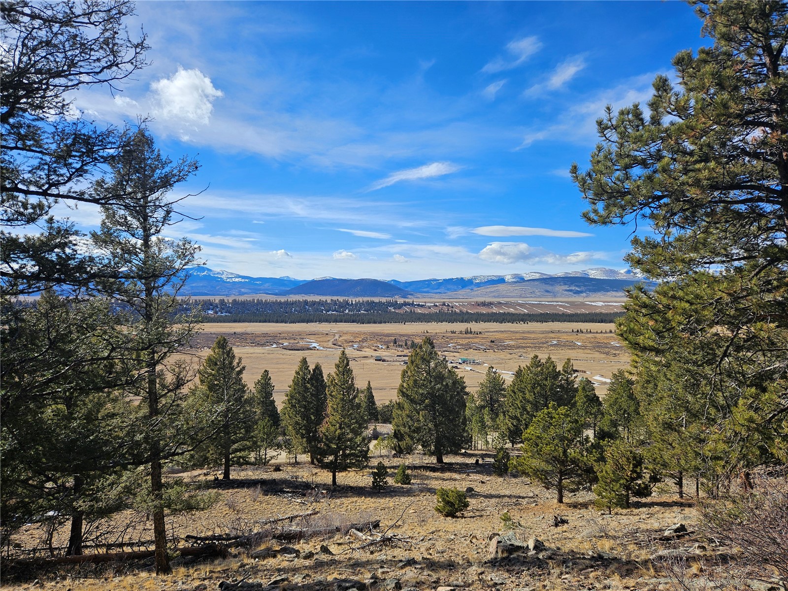 Lot 395 Bonell Drive Property Photo 6