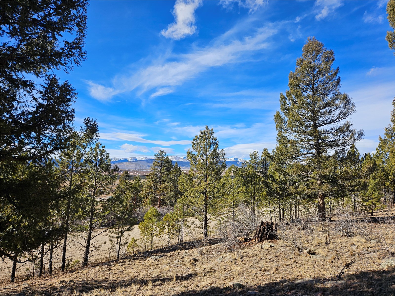 Lot 395 Bonell Drive Property Photo 7