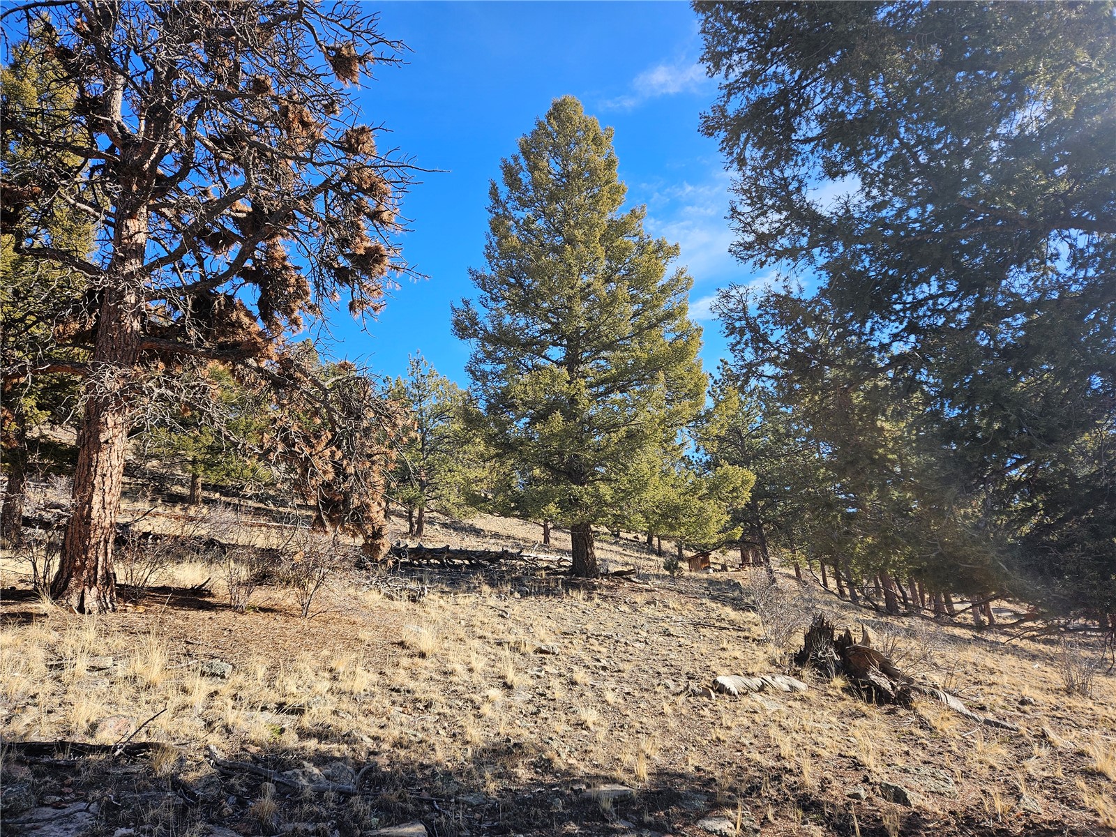 Lot 395 Bonell Drive Property Photo 8