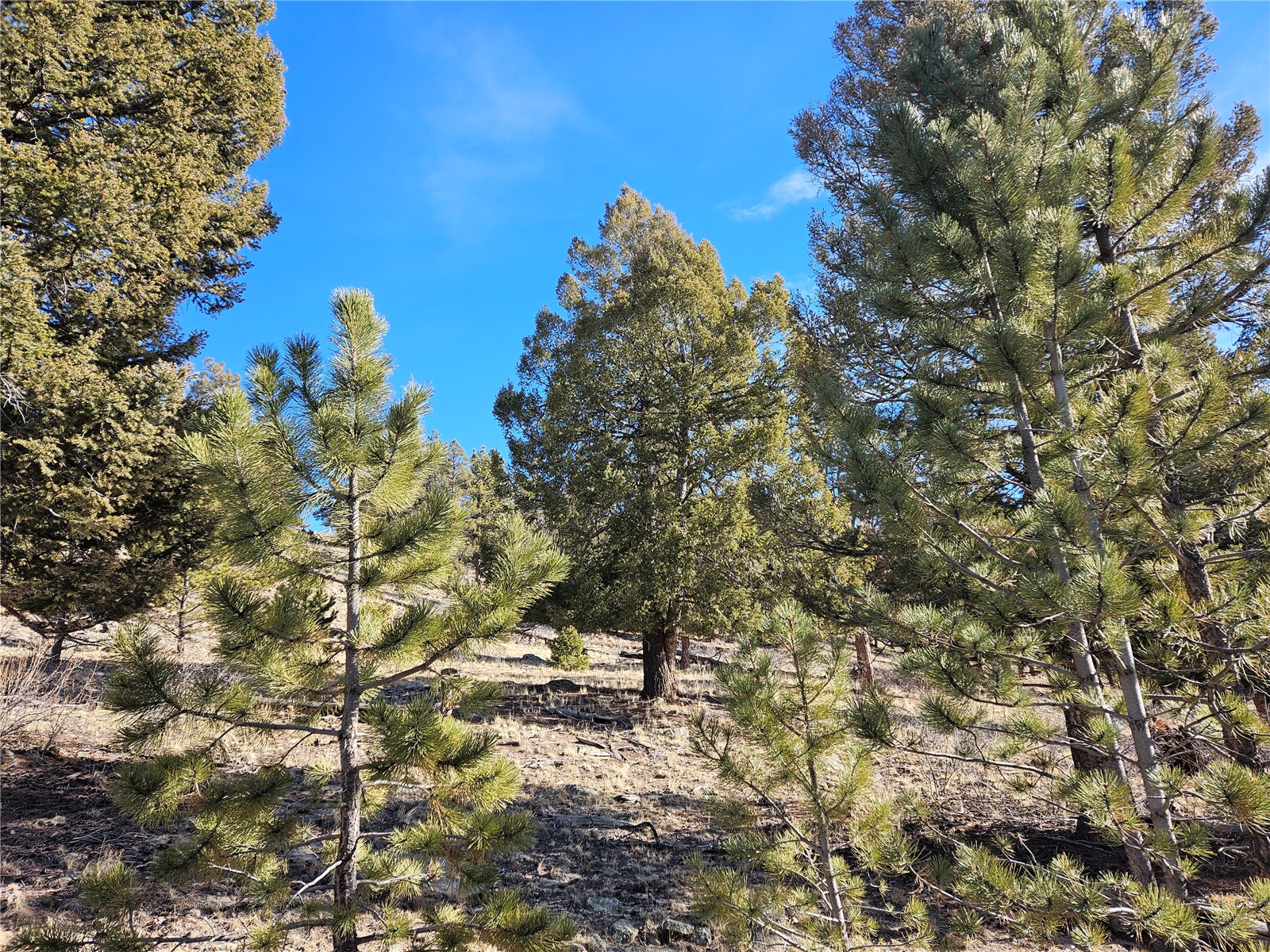 Lot 395 Bonell Drive Property Photo 10