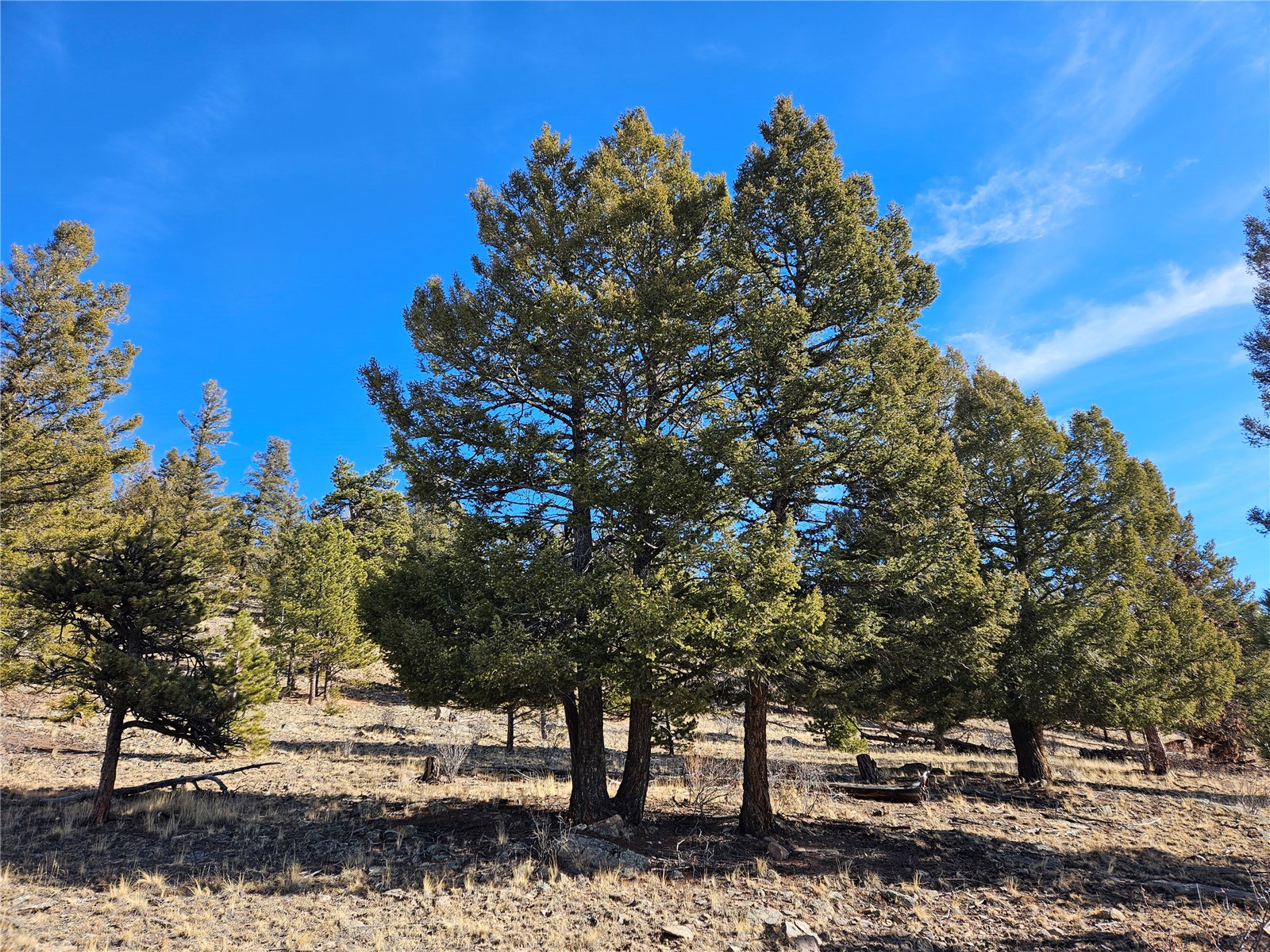 Lot 395 Bonell Drive Property Photo 11