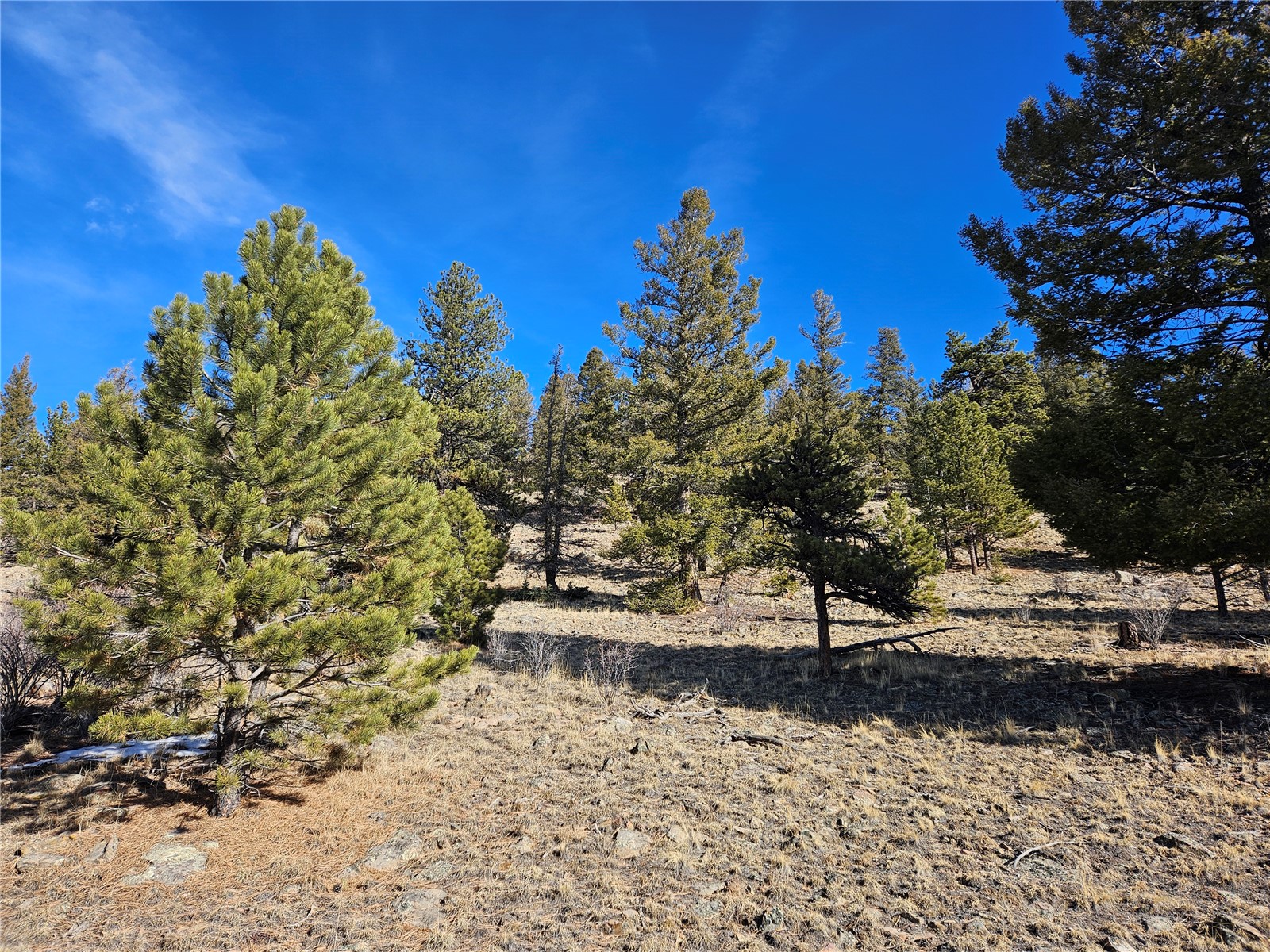 Lot 395 Bonell Drive Property Photo 12