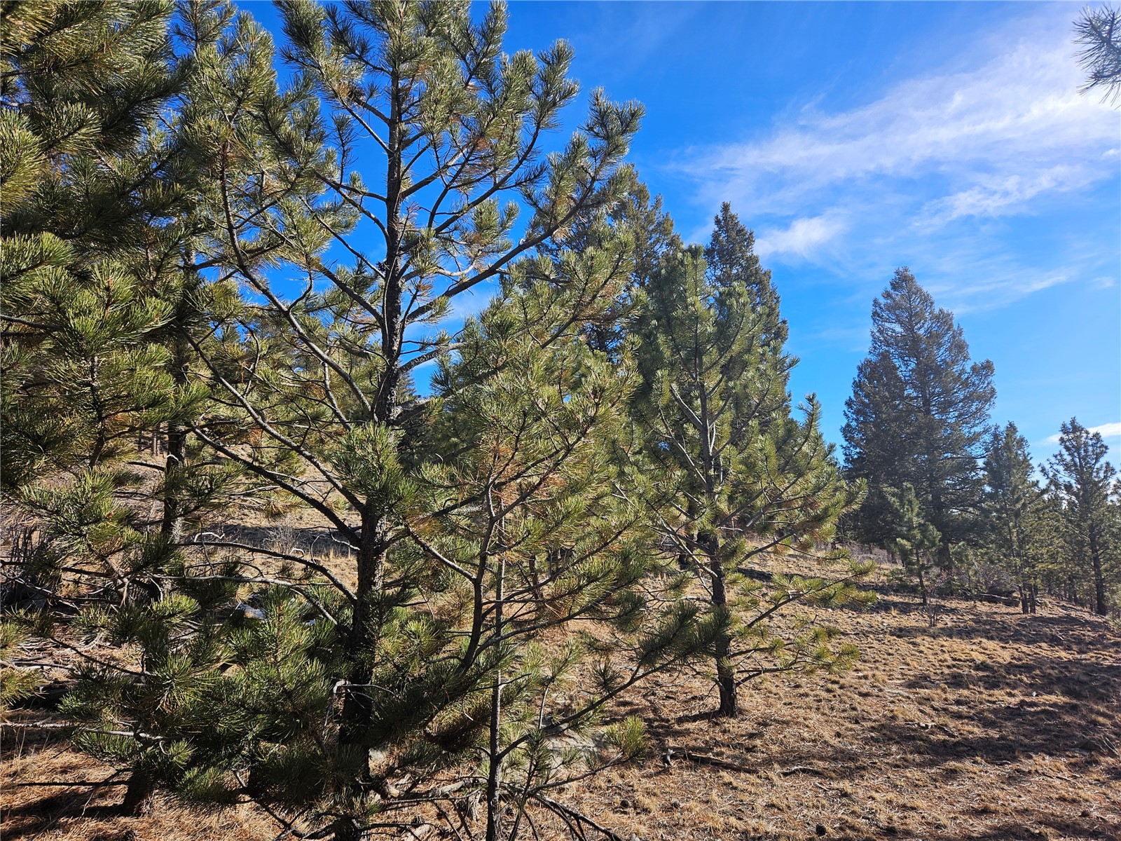 Lot 395 Bonell Drive Property Photo 14