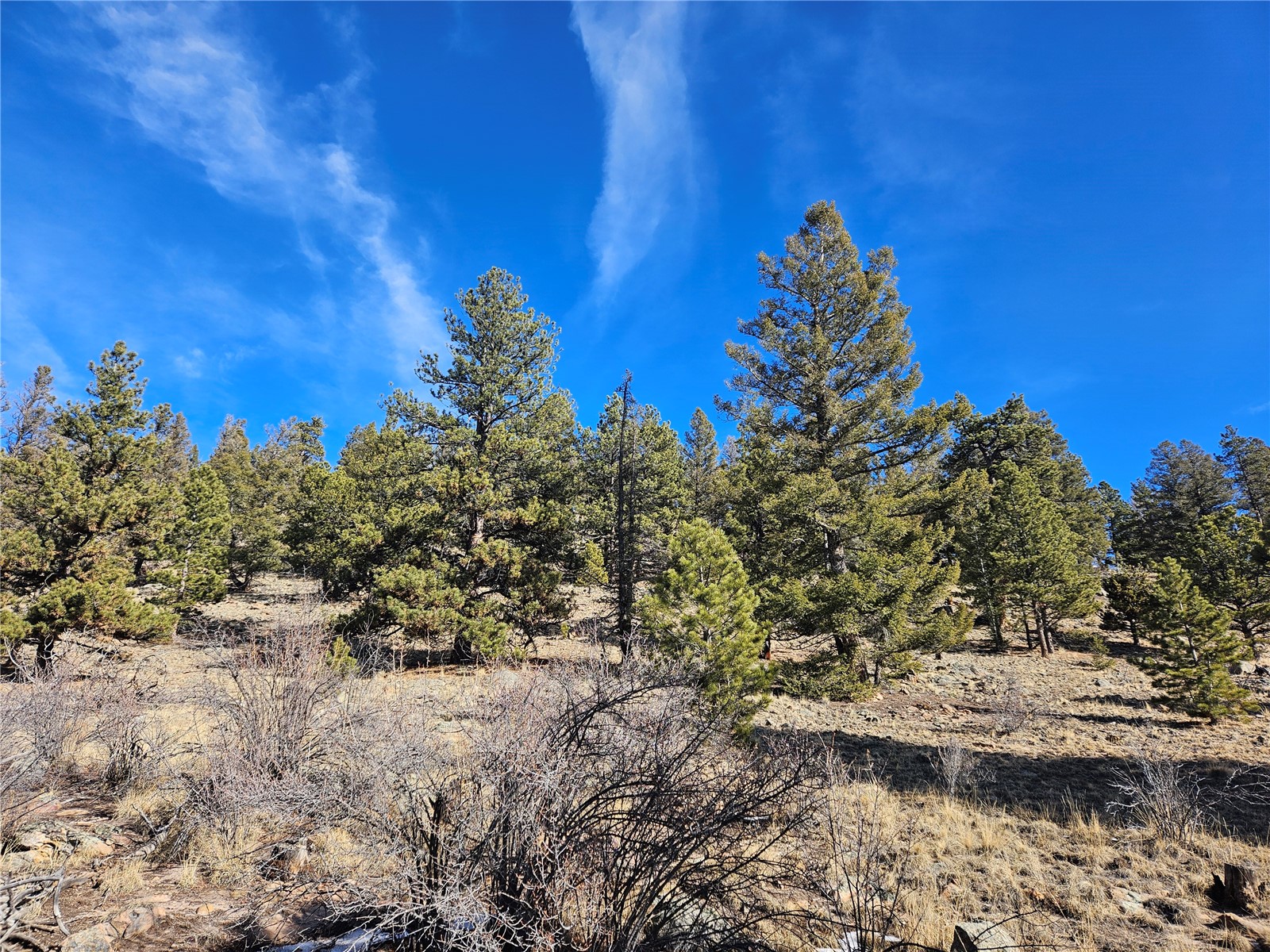 Lot 395 Bonell Drive Property Photo 15
