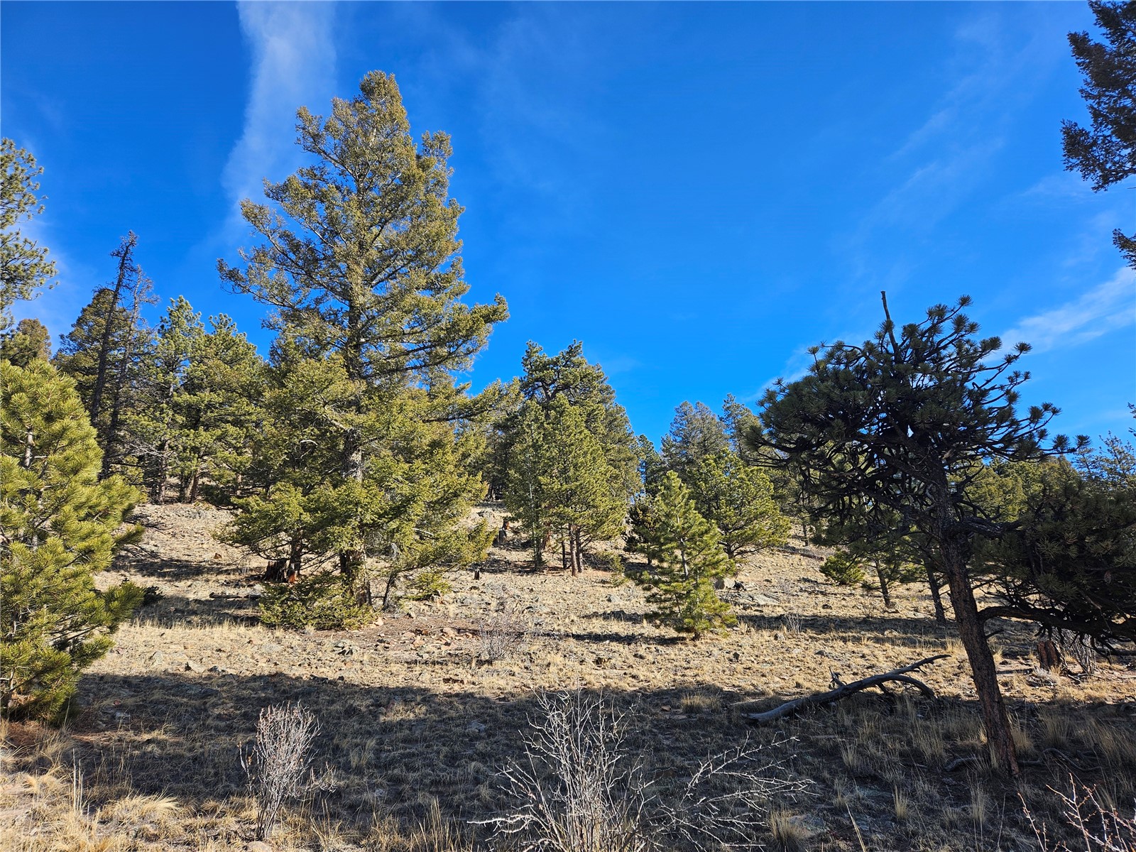 Lot 395 Bonell Drive Property Photo 16