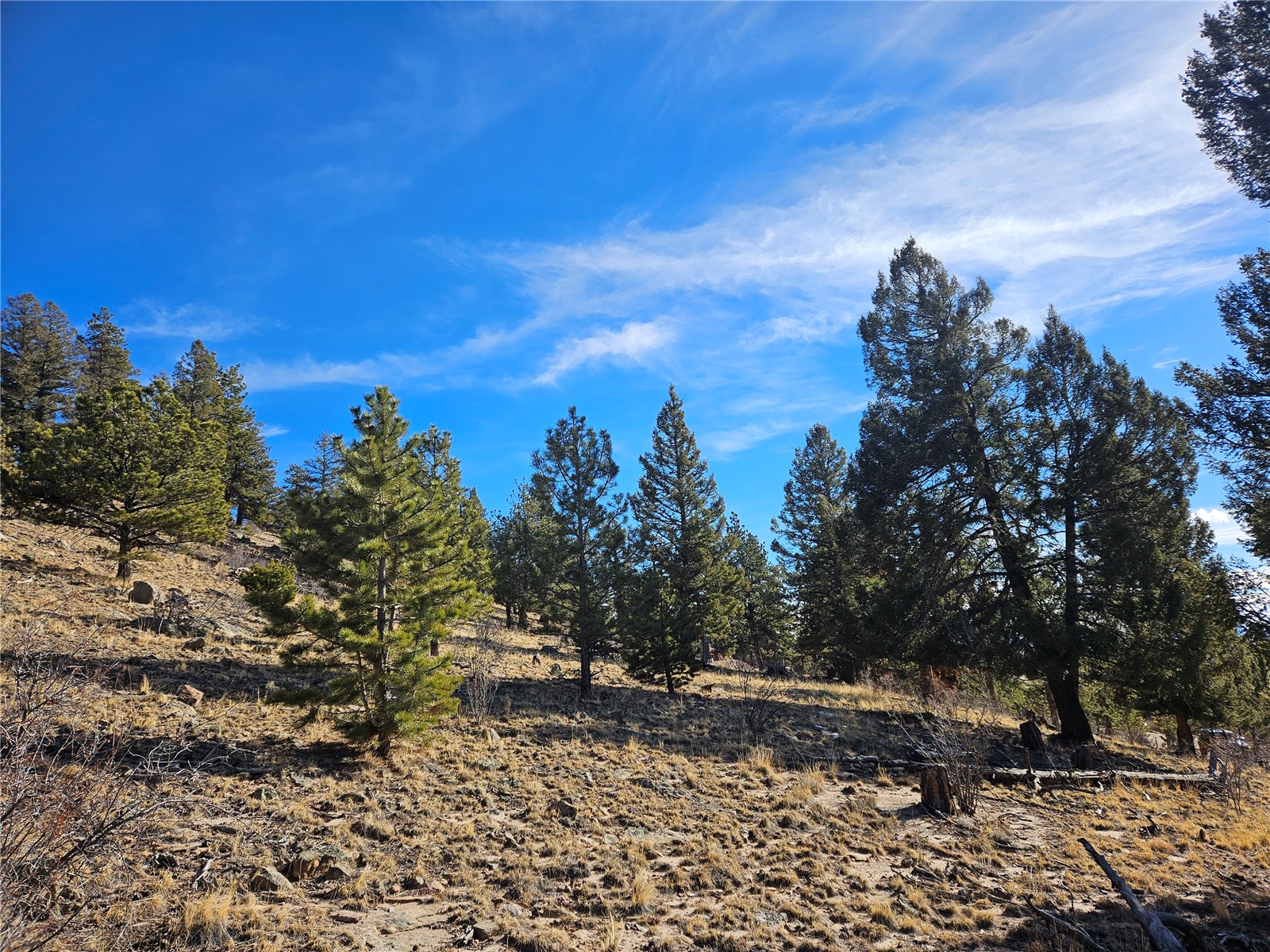 Lot 395 Bonell Drive Property Photo 17