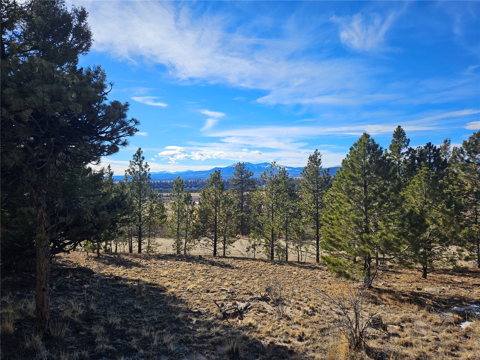 Lot 395 Bonell Drive Property Photo 18