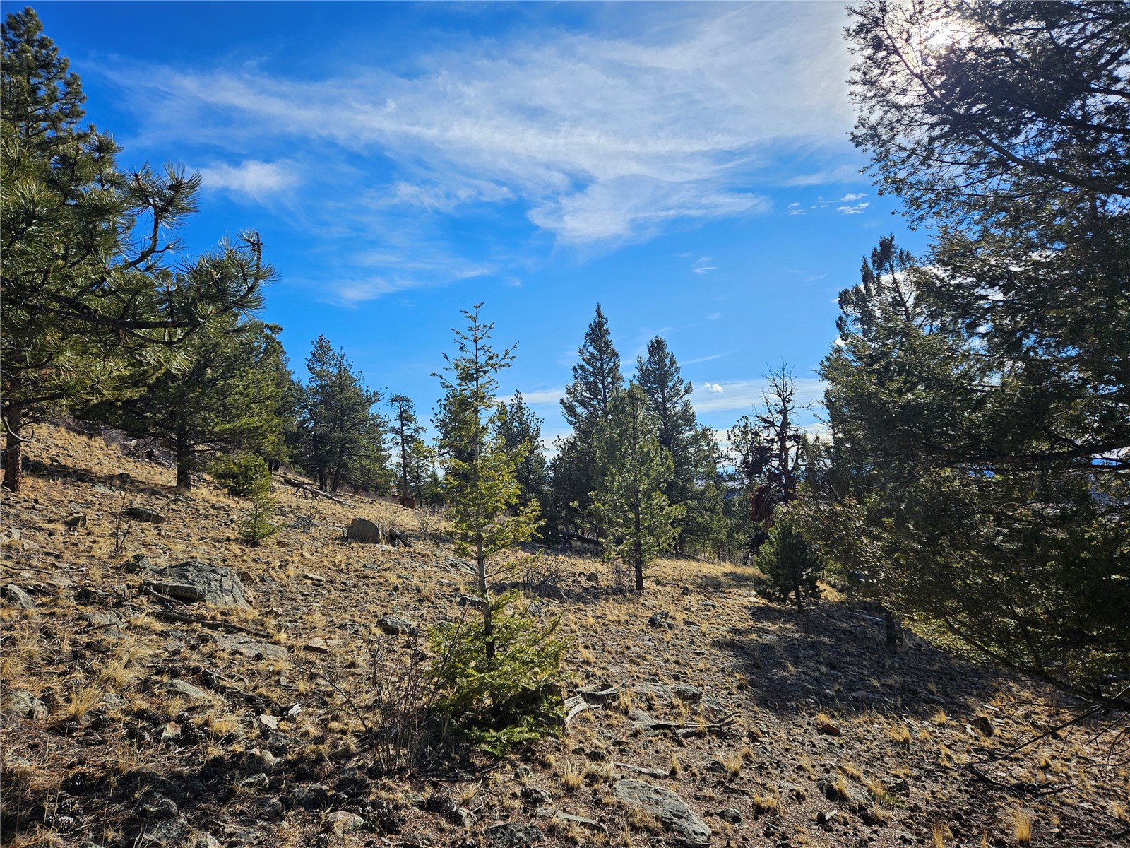 Lot 395 Bonell Drive Property Photo 19