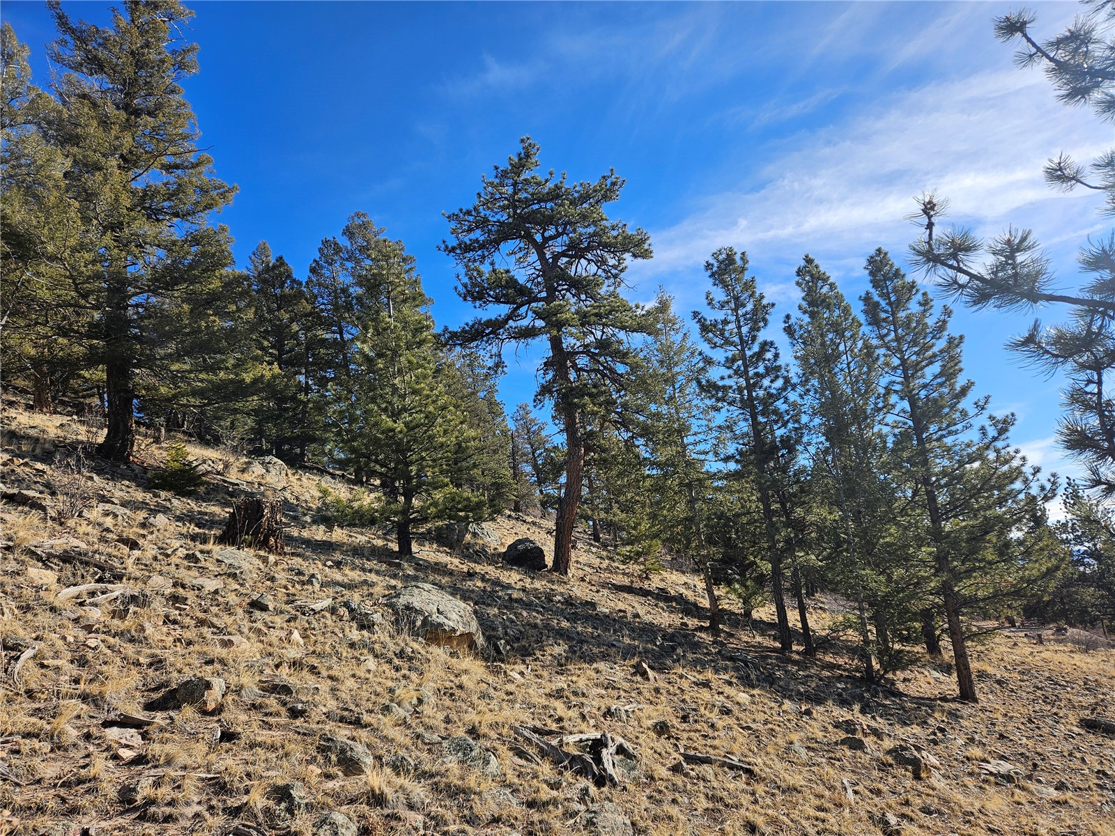 Lot 395 Bonell Drive Property Photo 20