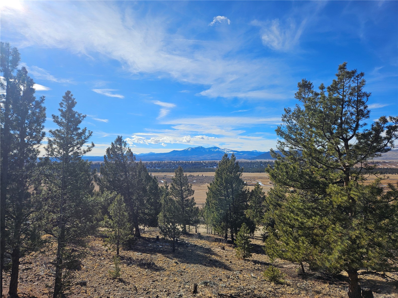 Lot 395 Bonell Drive Property Photo 21