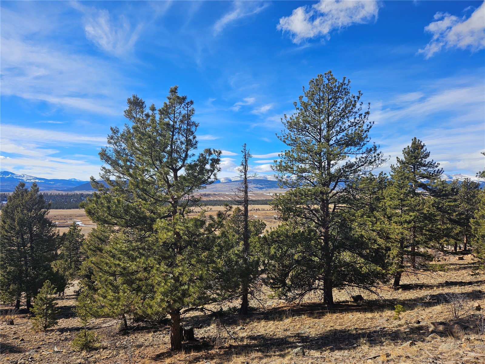 Lot 395 Bonell Drive Property Photo 22