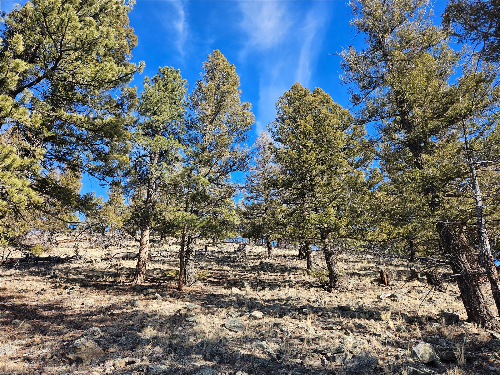 Lot 395 Bonell Drive Property Photo 23