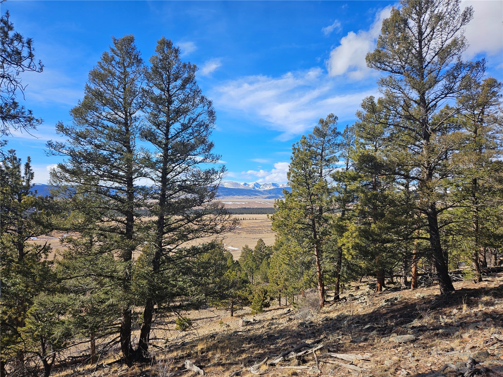 Lot 395 Bonell Drive Property Photo 24