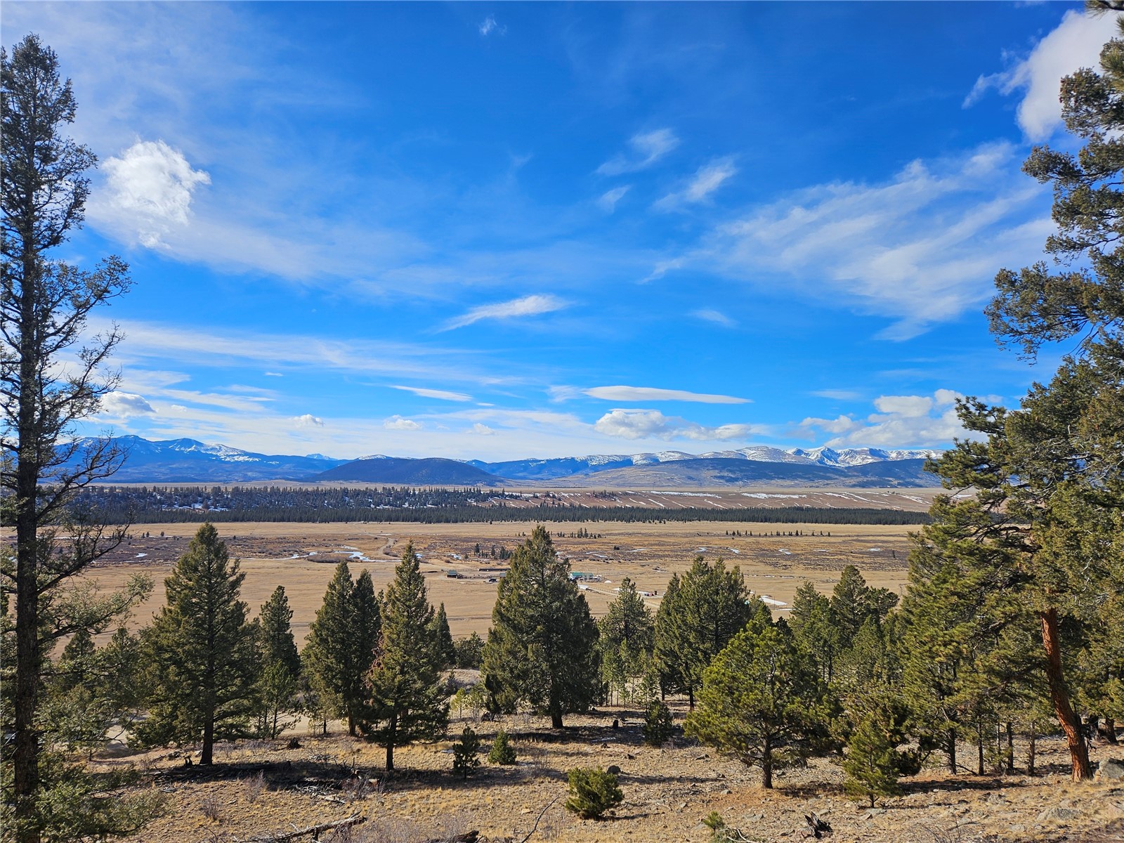 Lot 395 Bonell Drive Property Photo 25