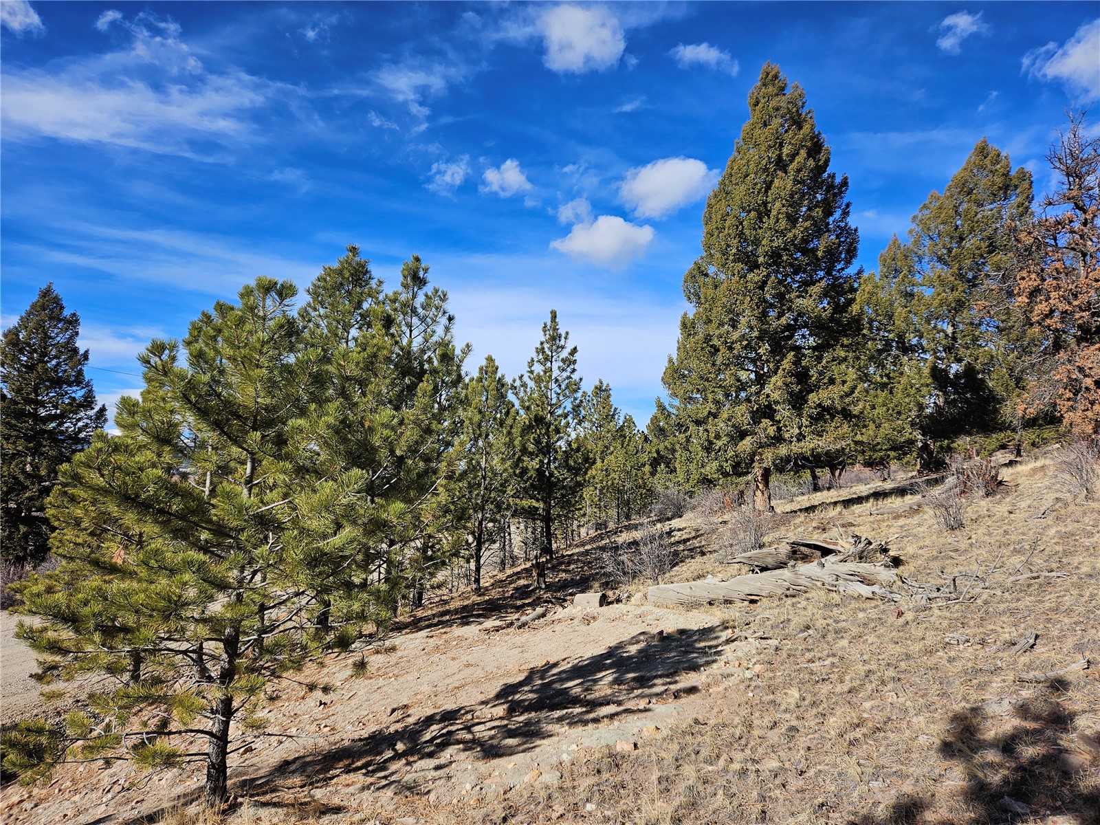 Lot 395 Bonell Drive Property Photo 26