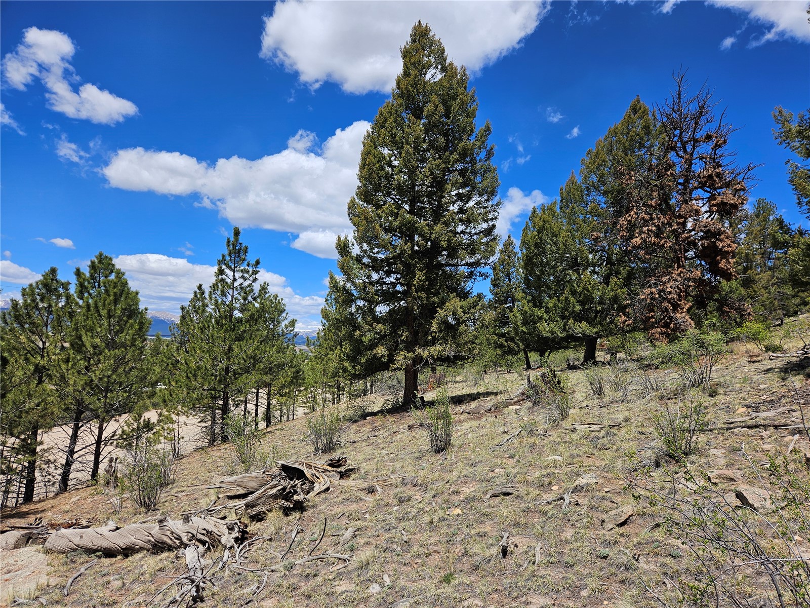 Lot 395 Bonell Drive Property Photo 27