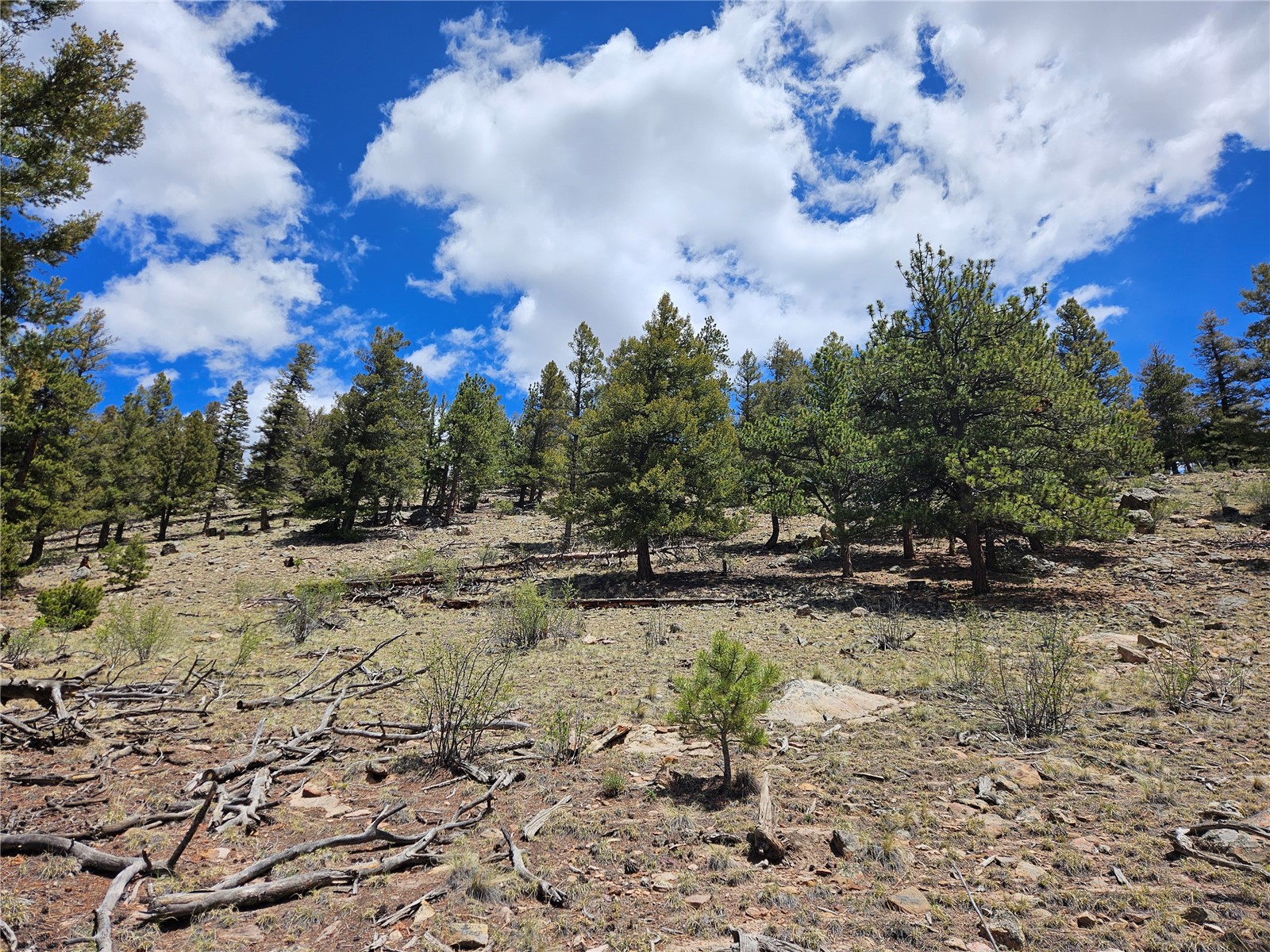 Lot 395 Bonell Drive Property Photo 28
