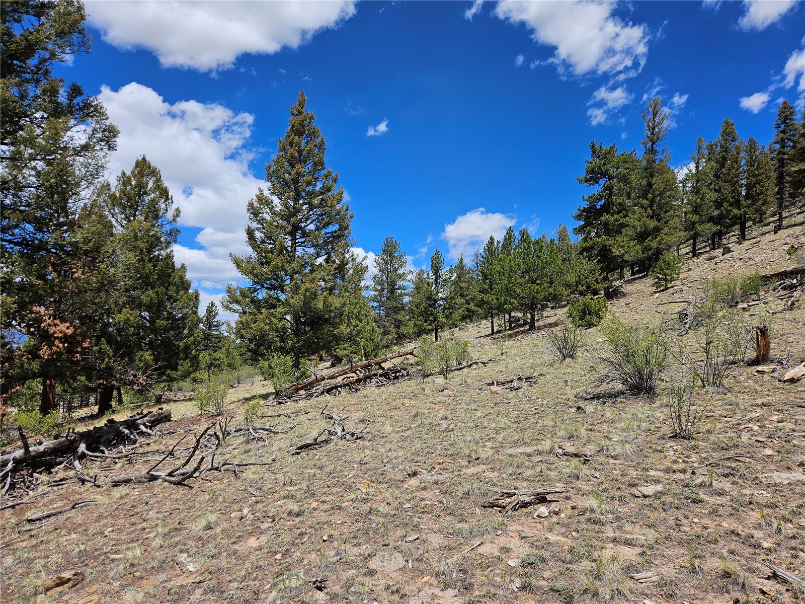 Lot 395 Bonell Drive Property Photo 29