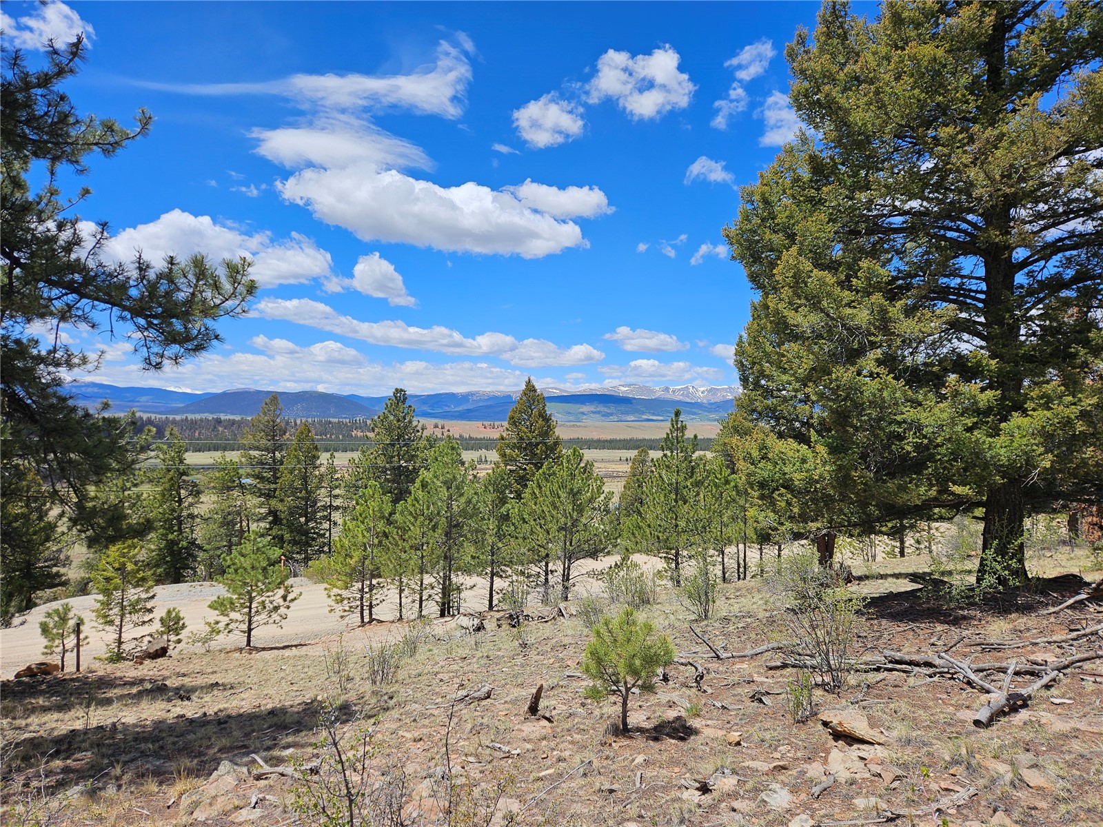 Lot 395 Bonell Drive Property Photo 30