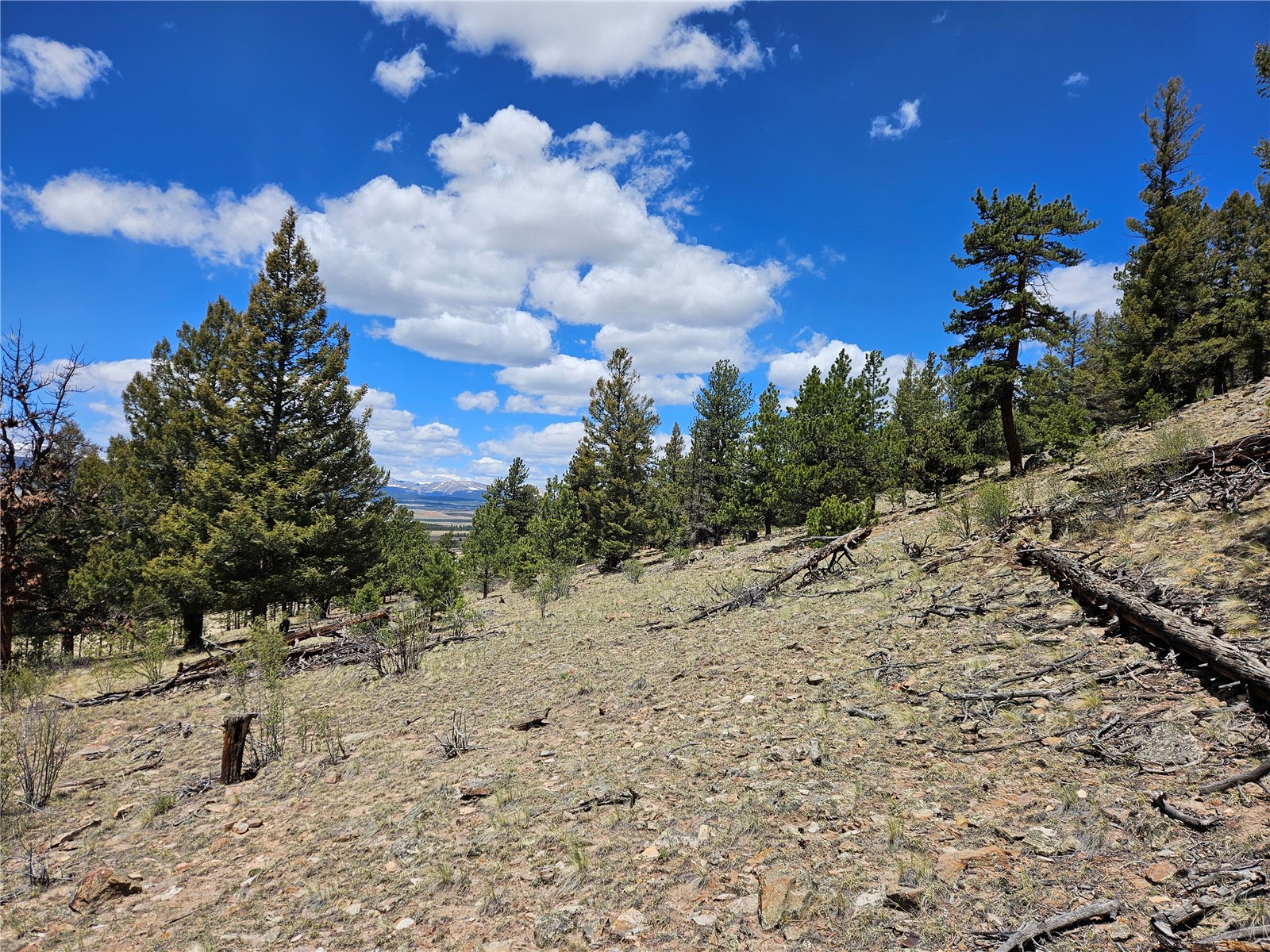 Lot 395 Bonell Drive Property Photo 31